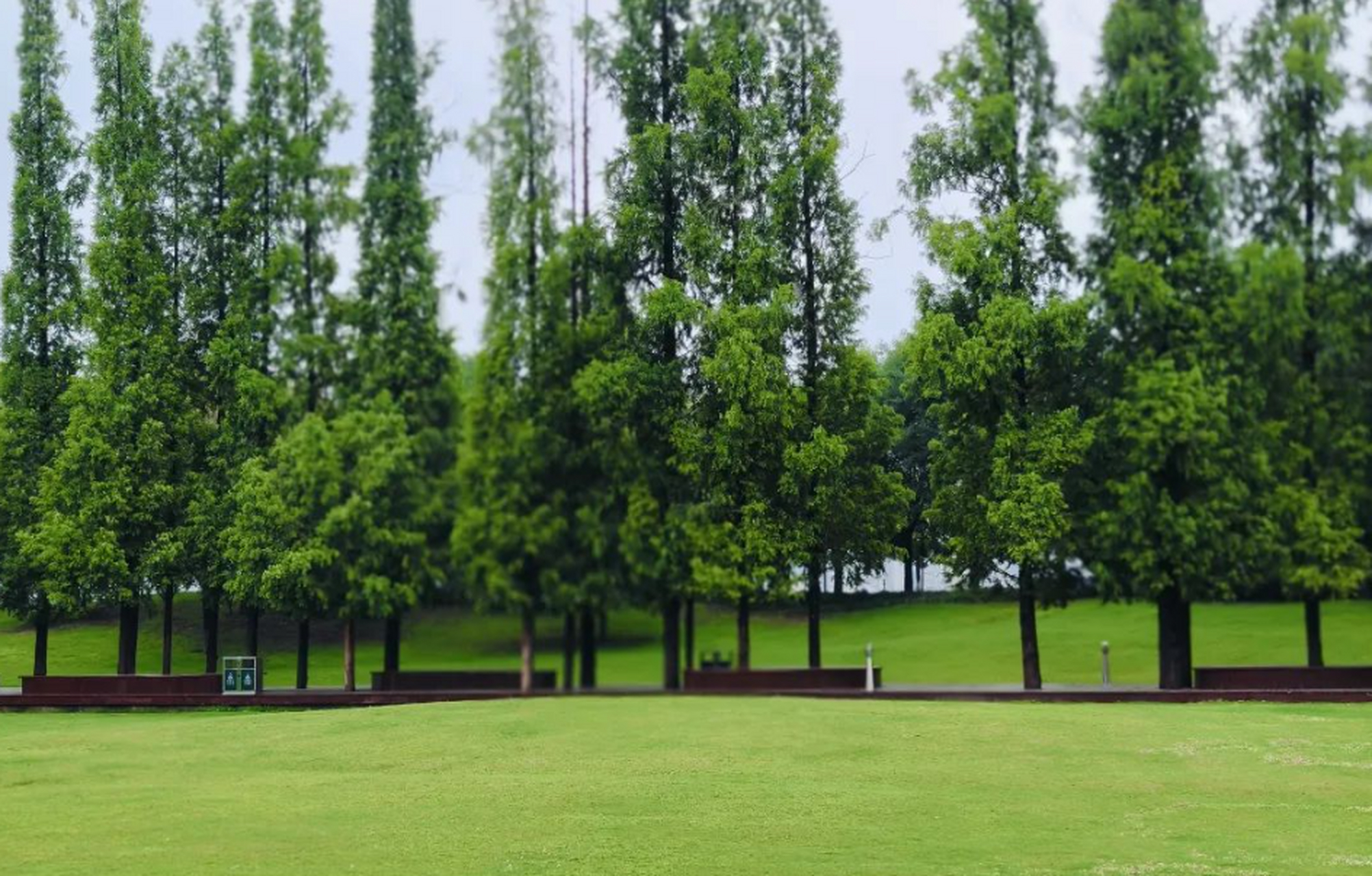 今天就介绍湖北省襄阳市襄城区滨江大道14号临汉门公园!