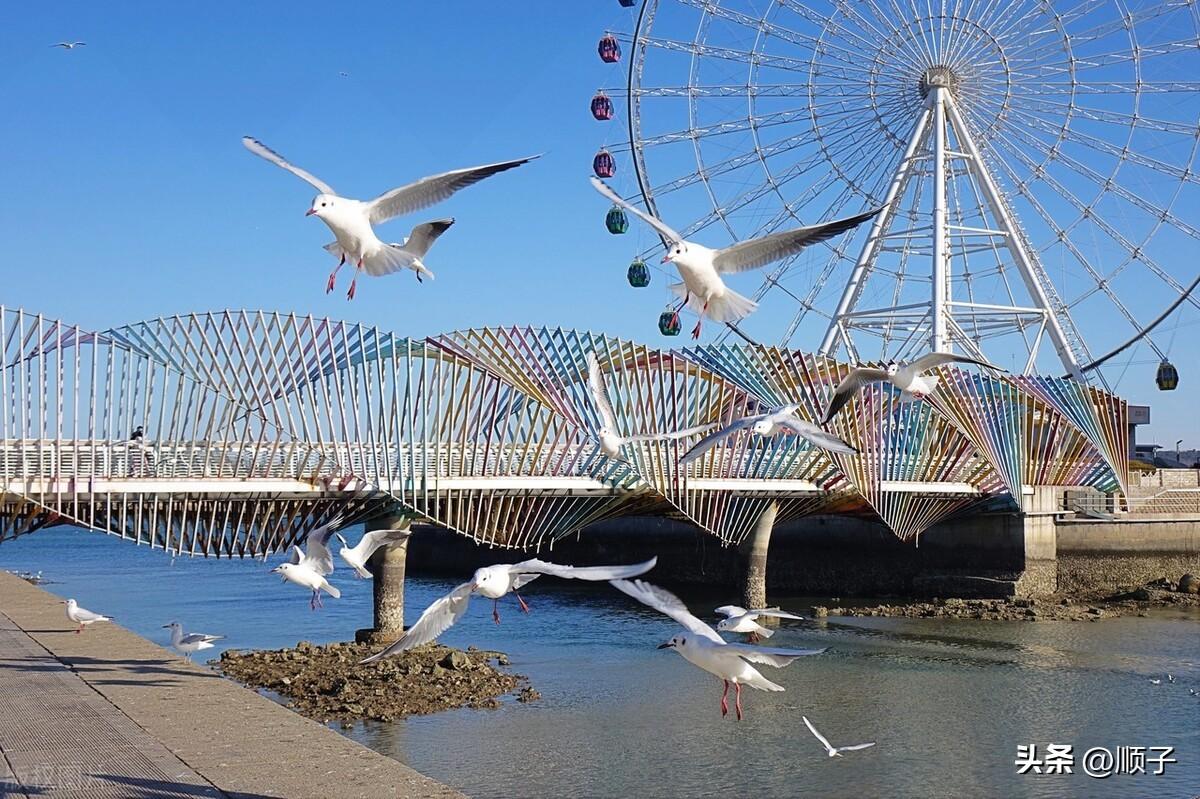 网约车拒载沙滩女游客闹青岛,乘客疾呼不宜来此旅游