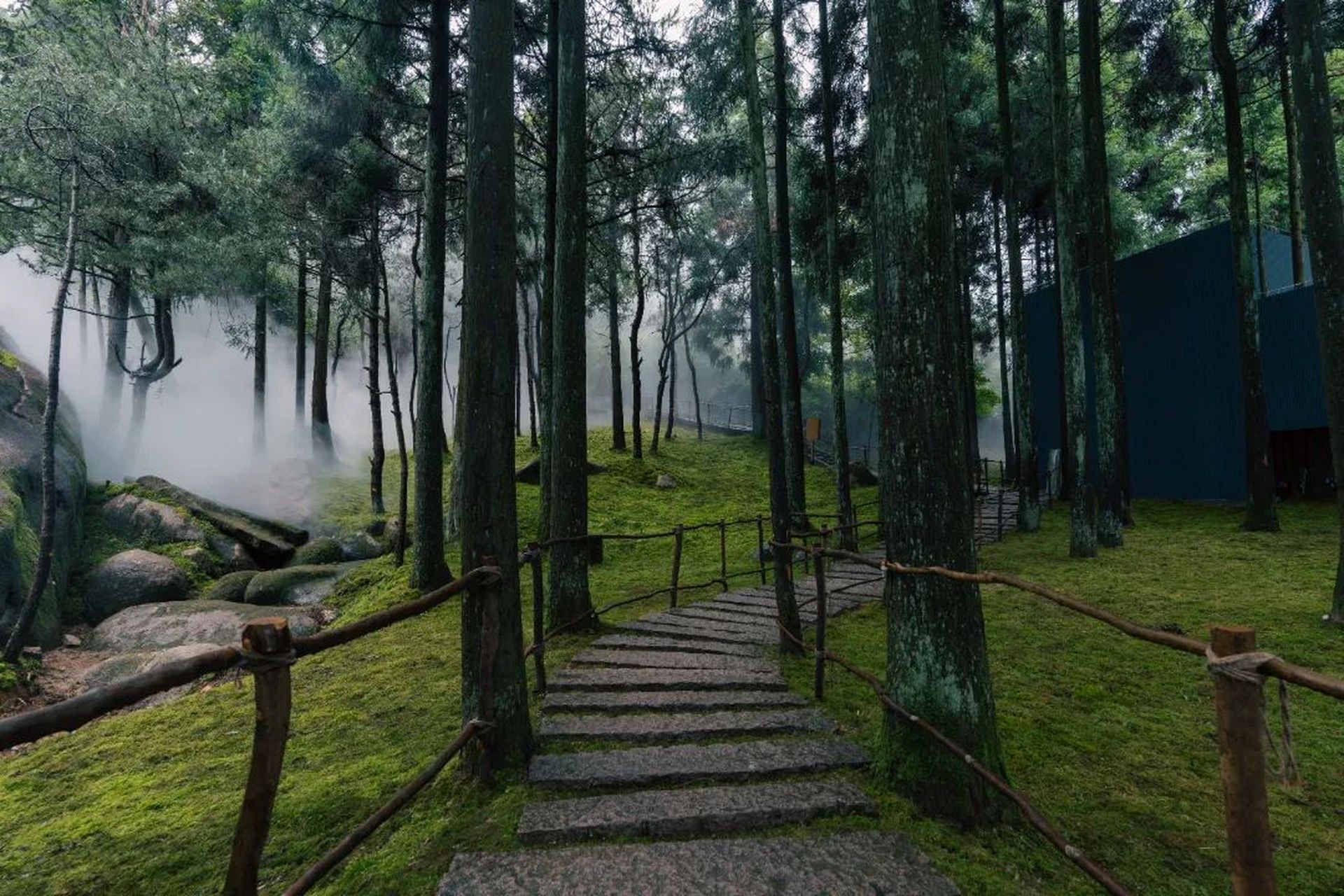 苍南玉苍山图片