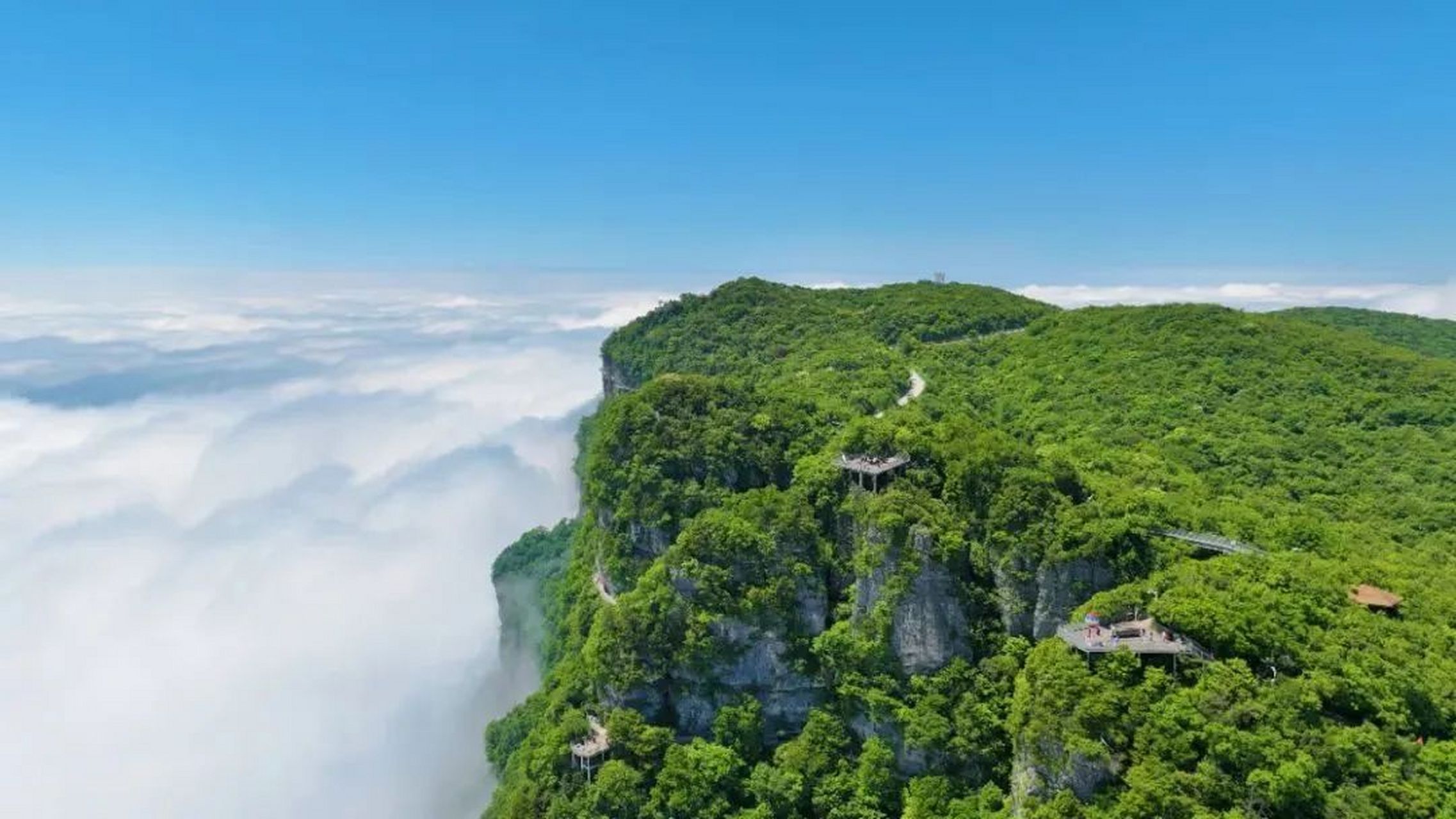 汉中龙头山国际旅游度假区 夏季的龙头山草木繁茂,这里的空气都带着