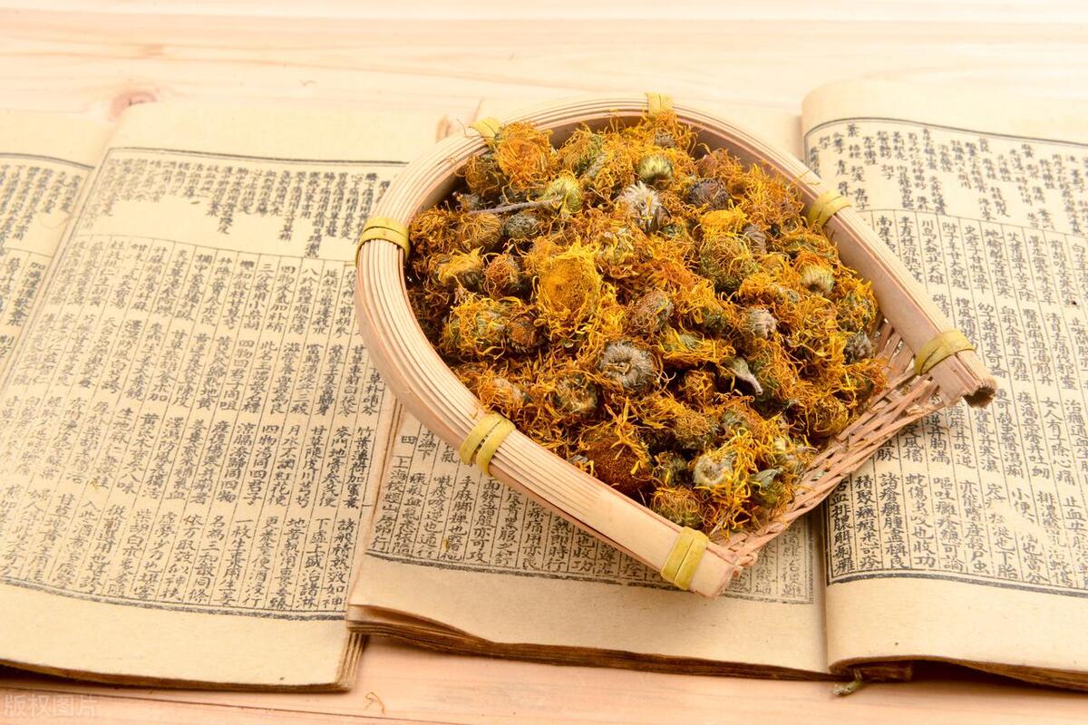 花像向日葵,叫"六月菊",可吃,可观花,见到采回家