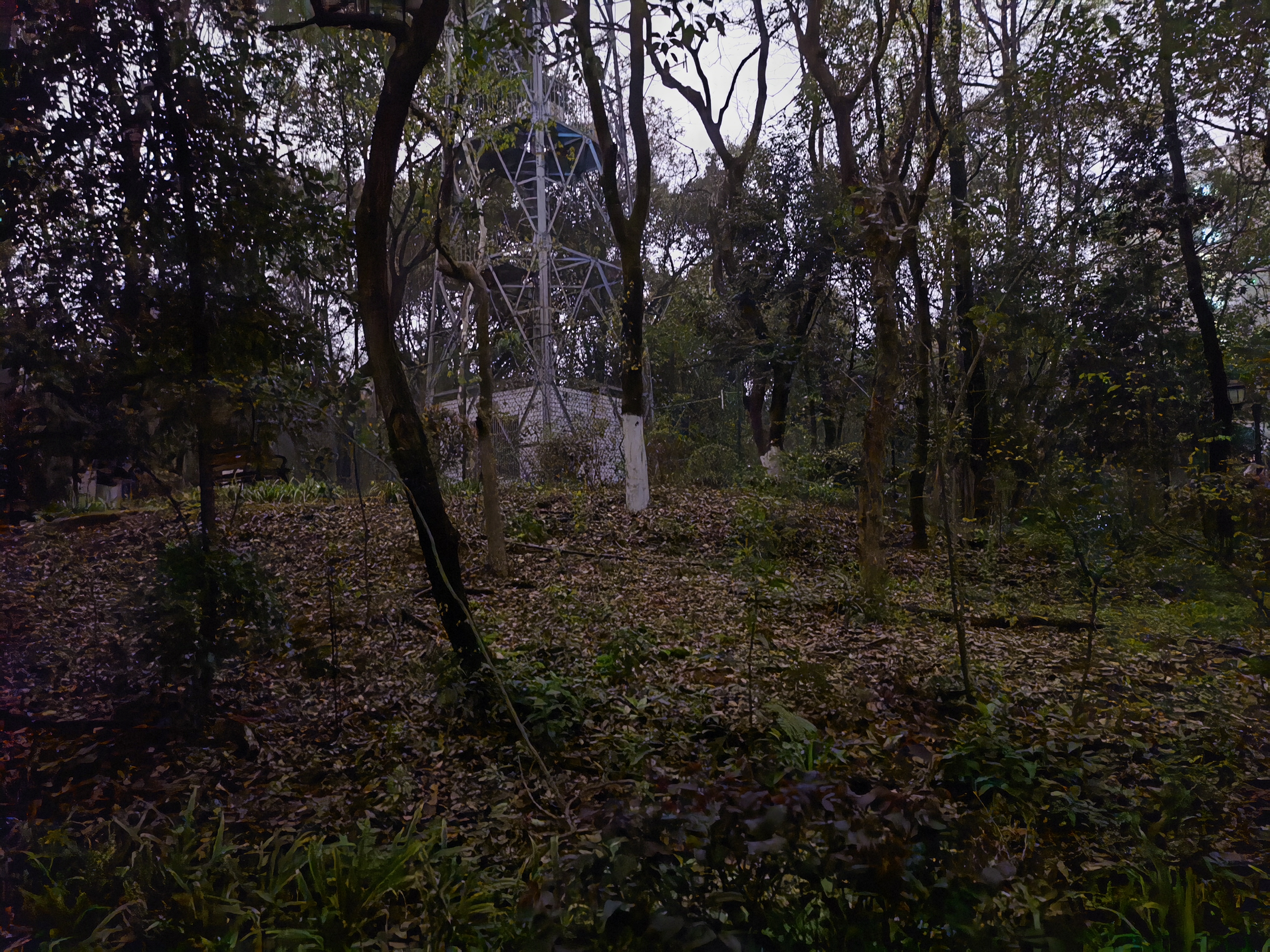 2007年,福建那个惨遭割喉死在街边的20岁女孩子,已经离开17年了