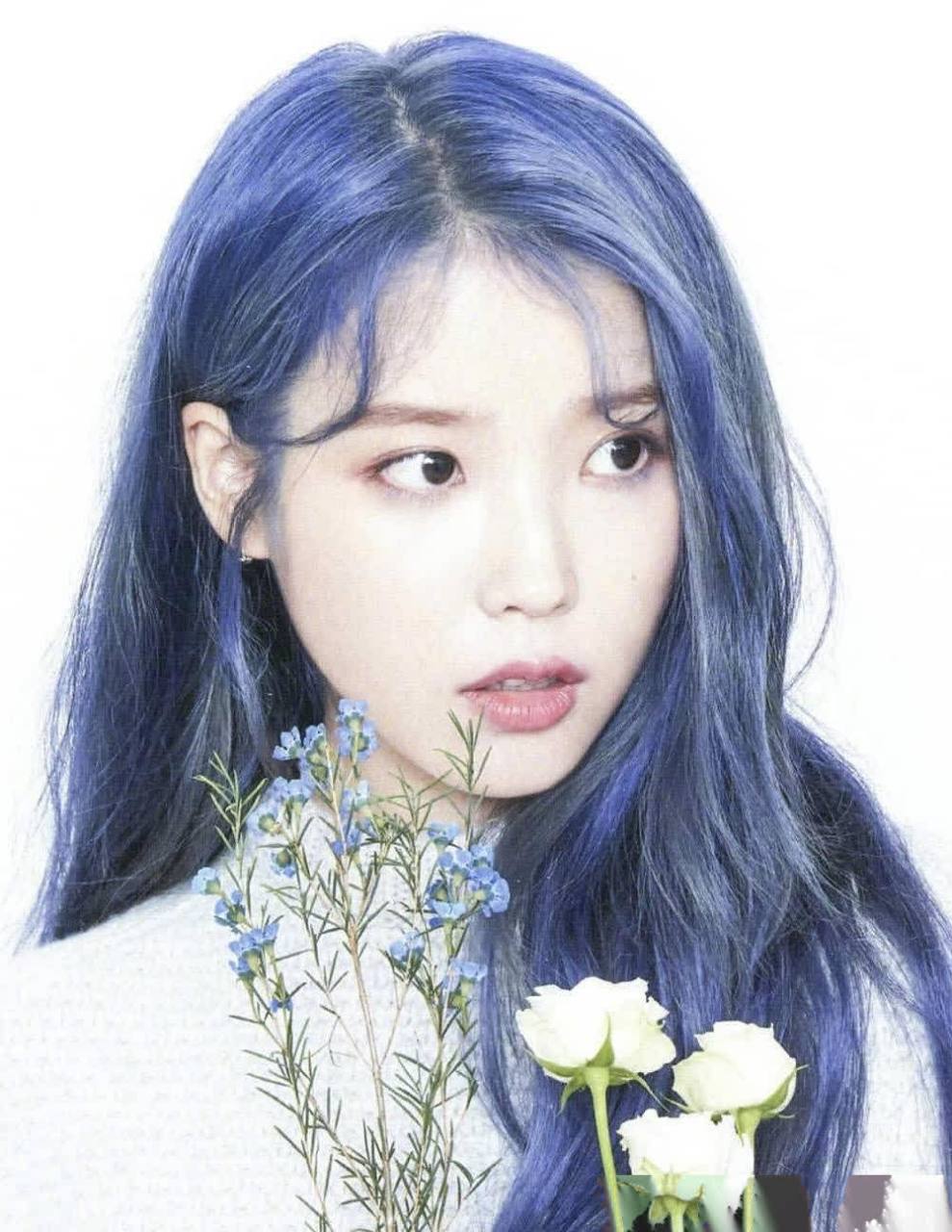 iu新专辑「lovepoem」封面及明信片,烟灰紫色的新发色在一片薰衣草中