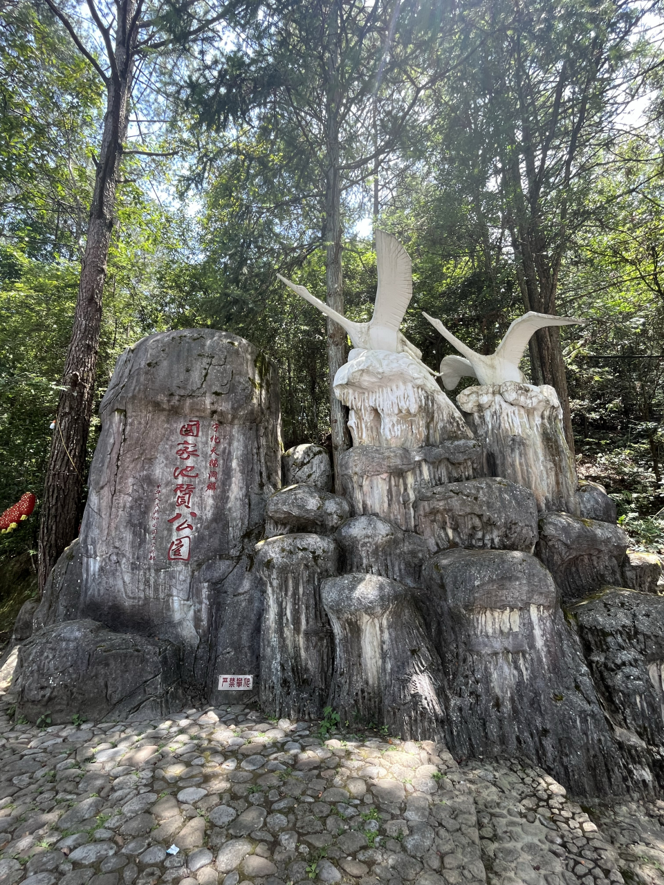 宁化天鹅洞风景区门票图片