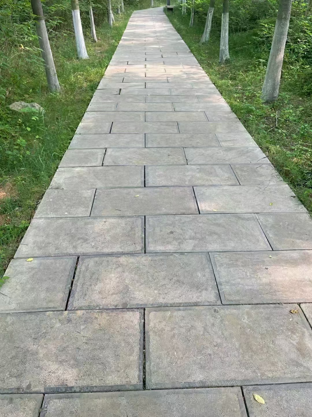 青石板荔枝面地铺石材