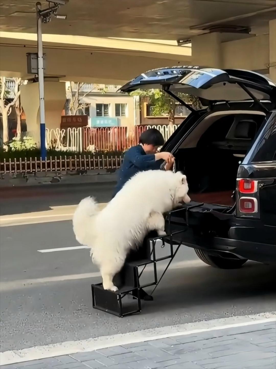 着实令人大开眼界