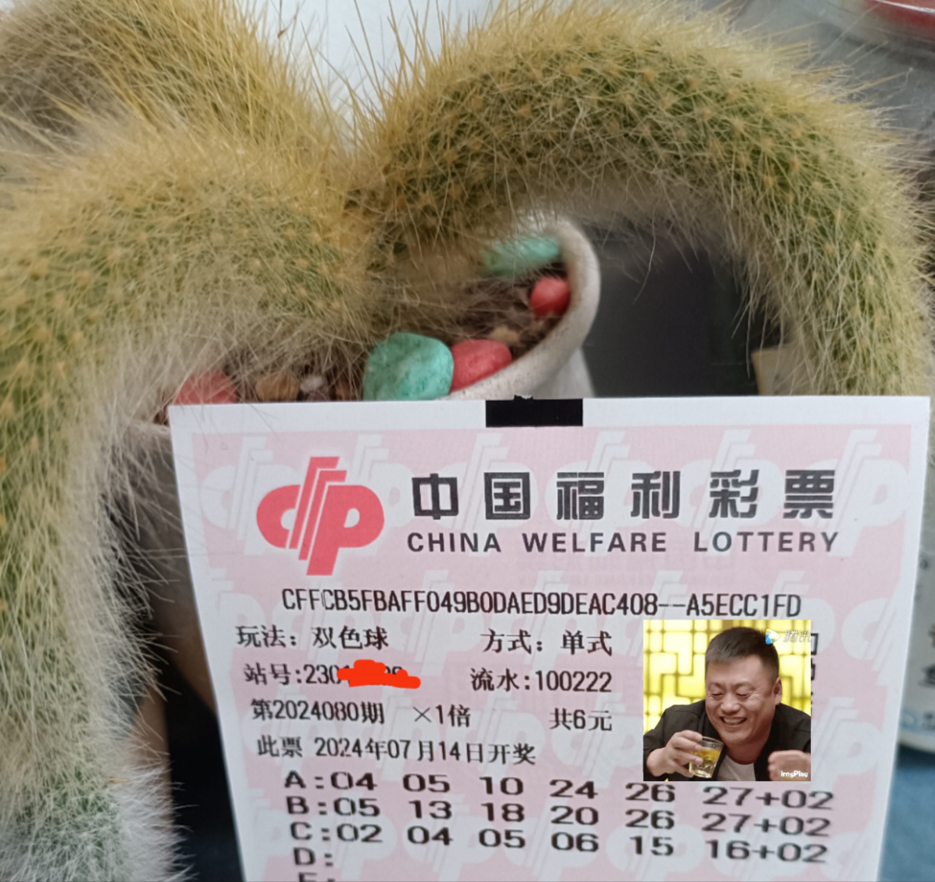 双色球第2024080期开奖:人生不过是一张清单,太聪明便是烦恼