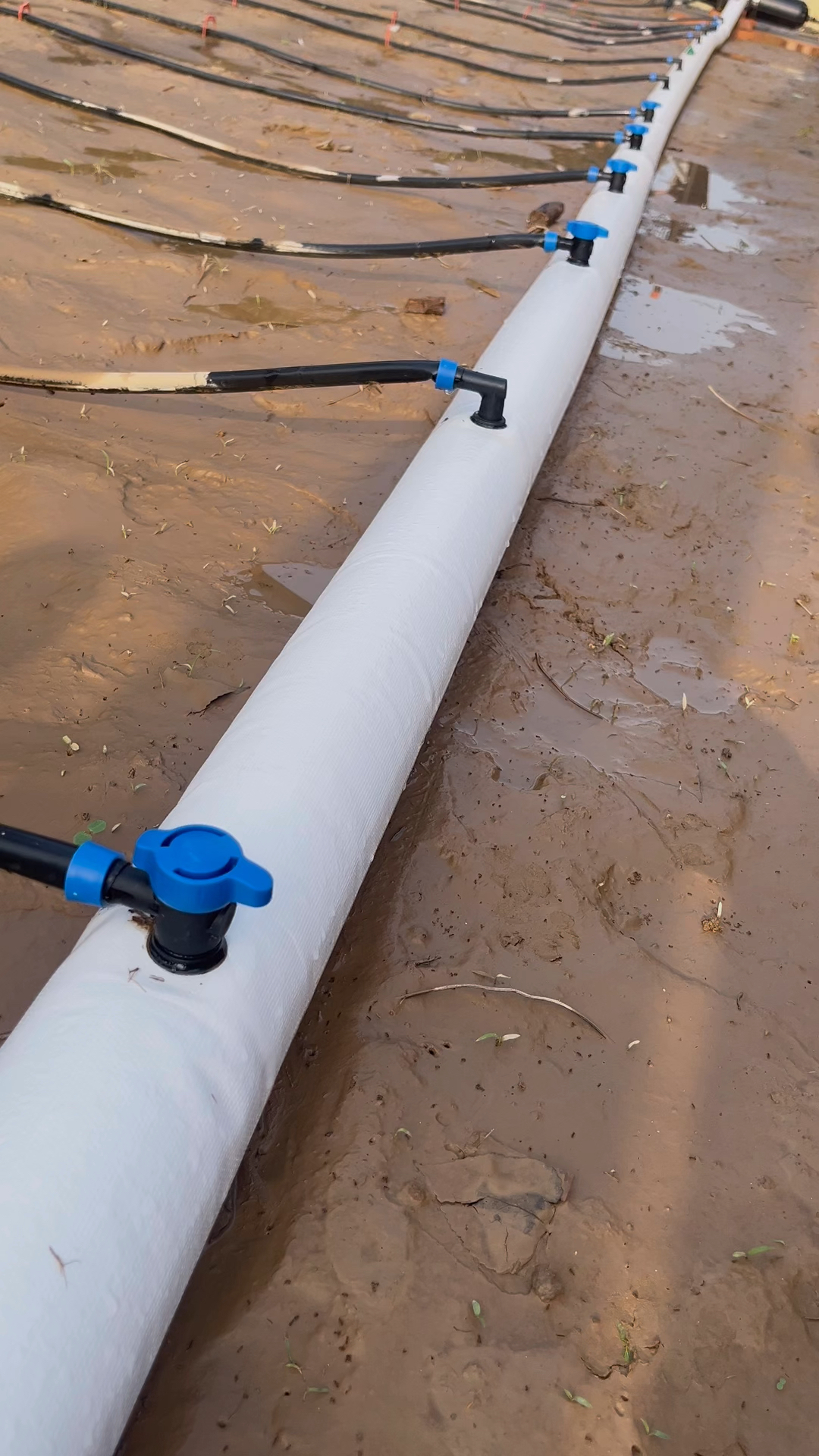 小流量滴灌带单边铺设300米长度