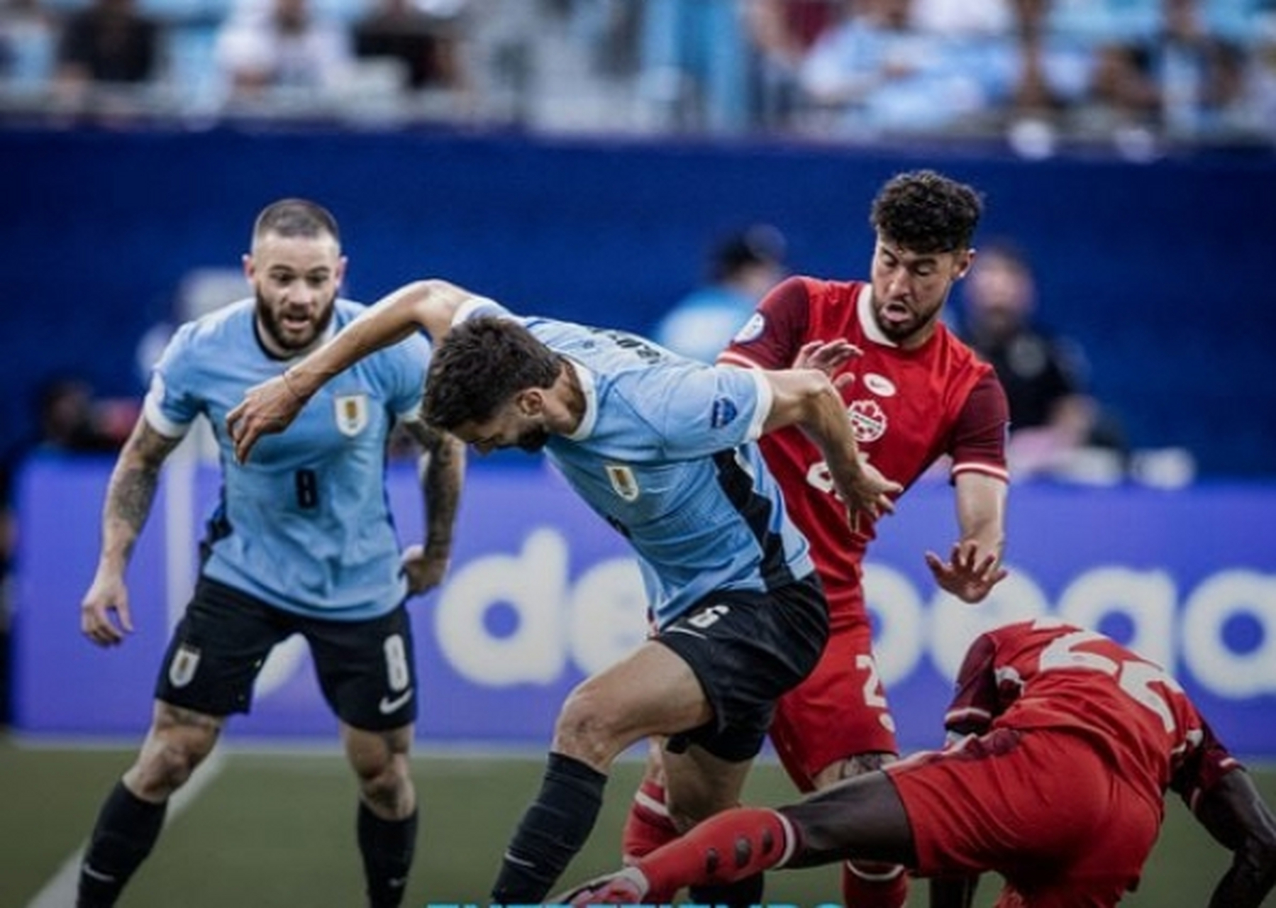 一场点球大战让美洲杯季军出炉!