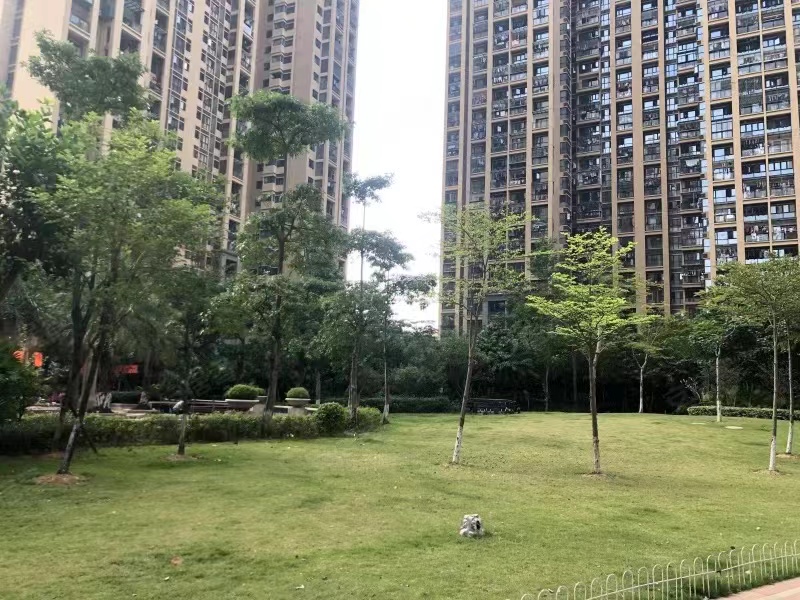 深圳龙岗区核心地段法拍房:保利上城,8折,周边顶级配套!