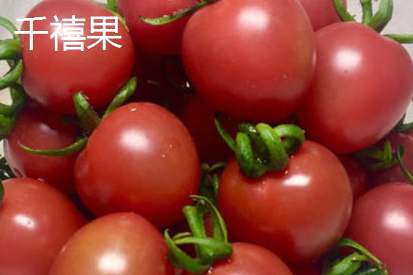 千禧果和圣女果的区别,产地,外观,口味,价格都有区别