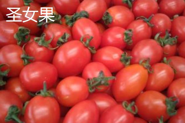 千禧果和圣女果的区别,产地,外观,口味,价格都有区别