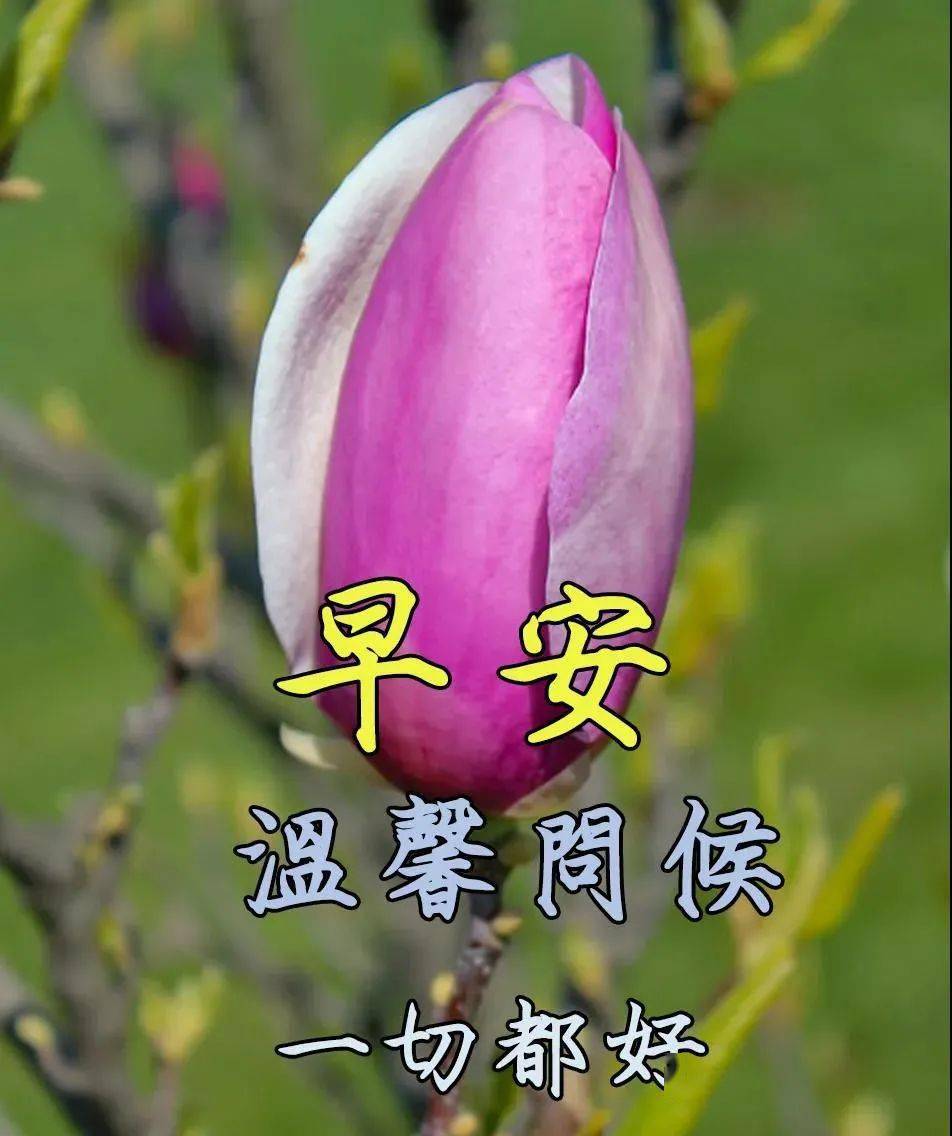 天气播报员小晴:九日日别特殊天气信息,影响你的情绪