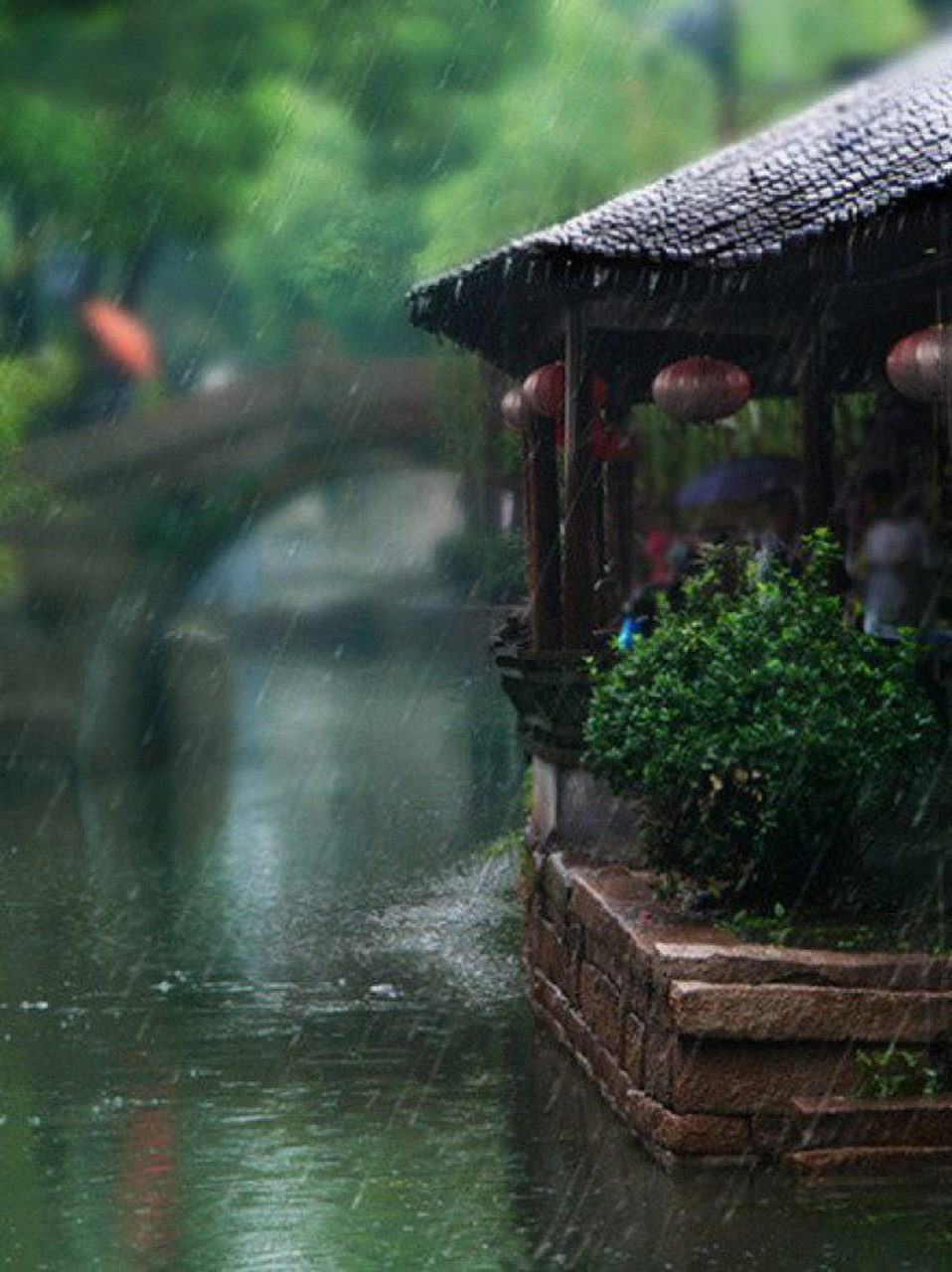 雨后风景最美图片