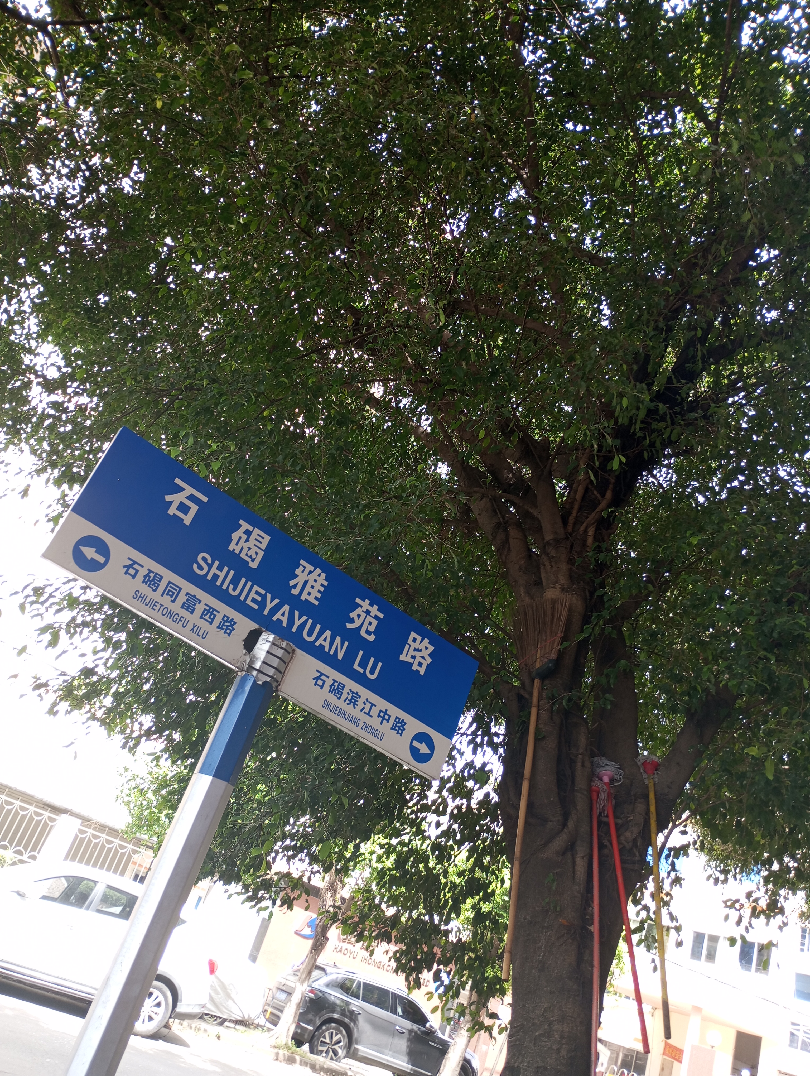 2元,跑了九个半小时左右送了21单