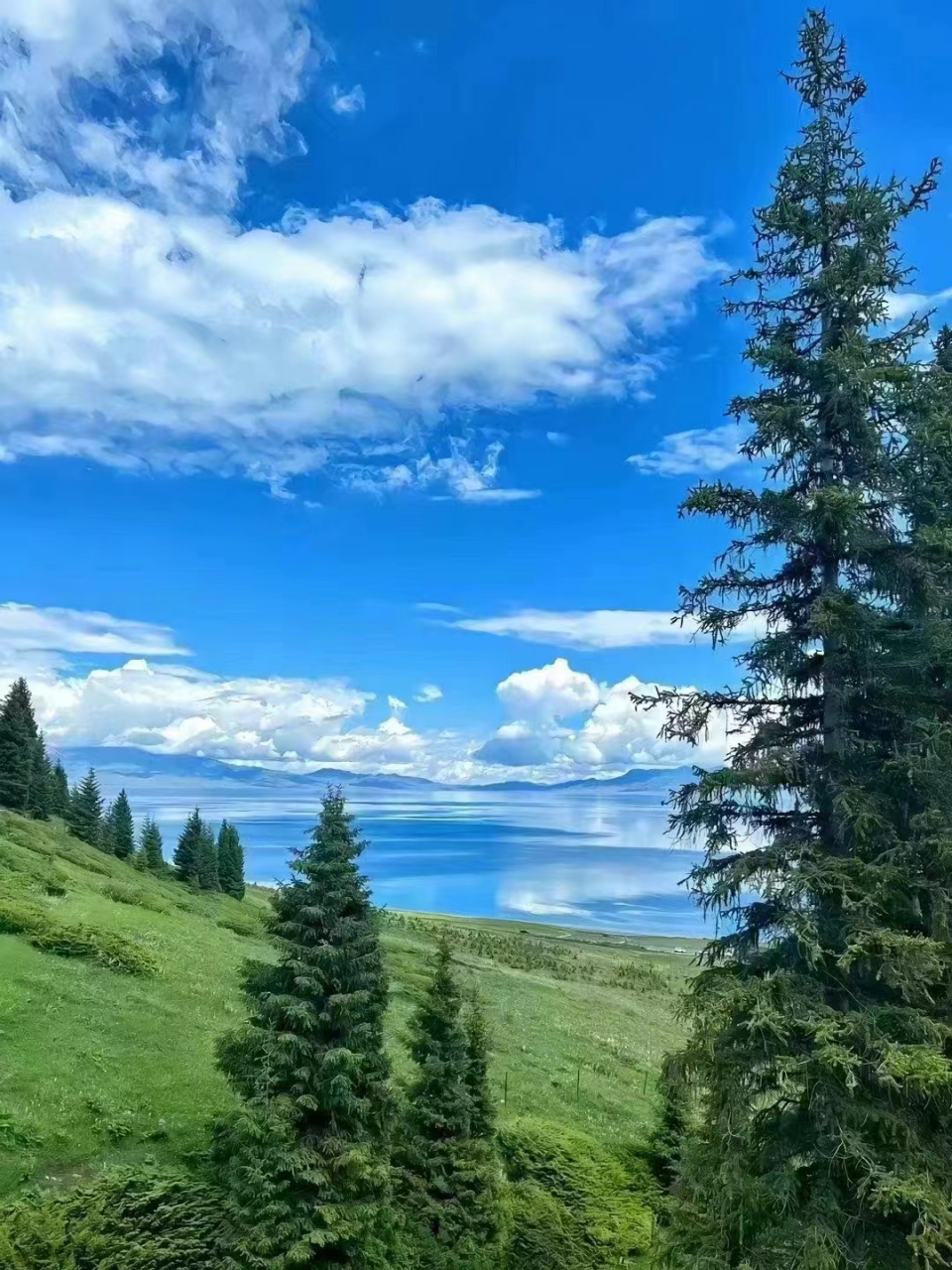 风景清秀美丽图片