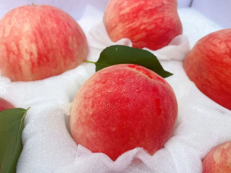 7月中旬有什么水果上市?水果店老板推荐6样,汁水丰盈,香甜美味