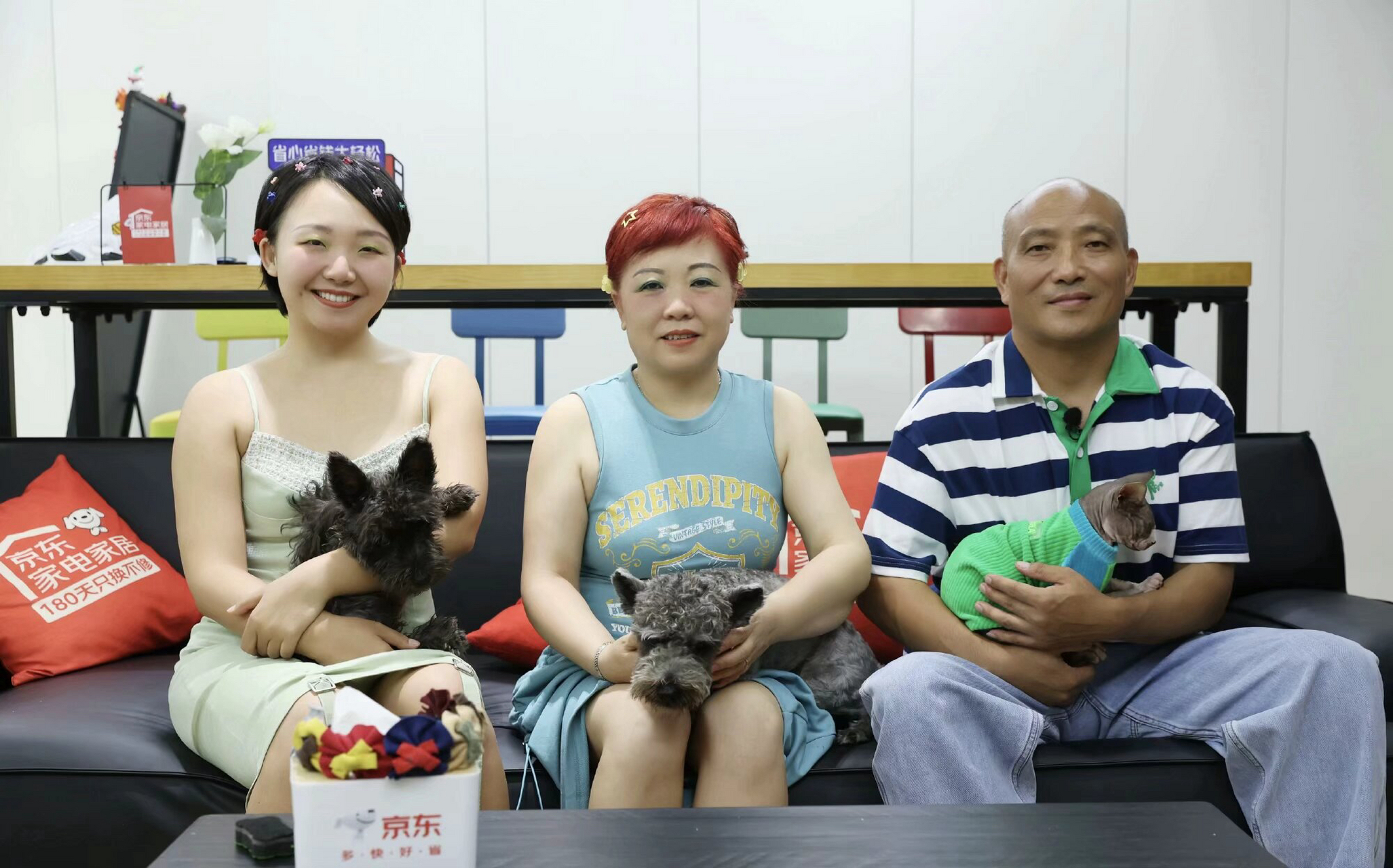 辣目洋子完全是避开爸爸妈妈的优点长,不过正因为这点,这张有特色的脸