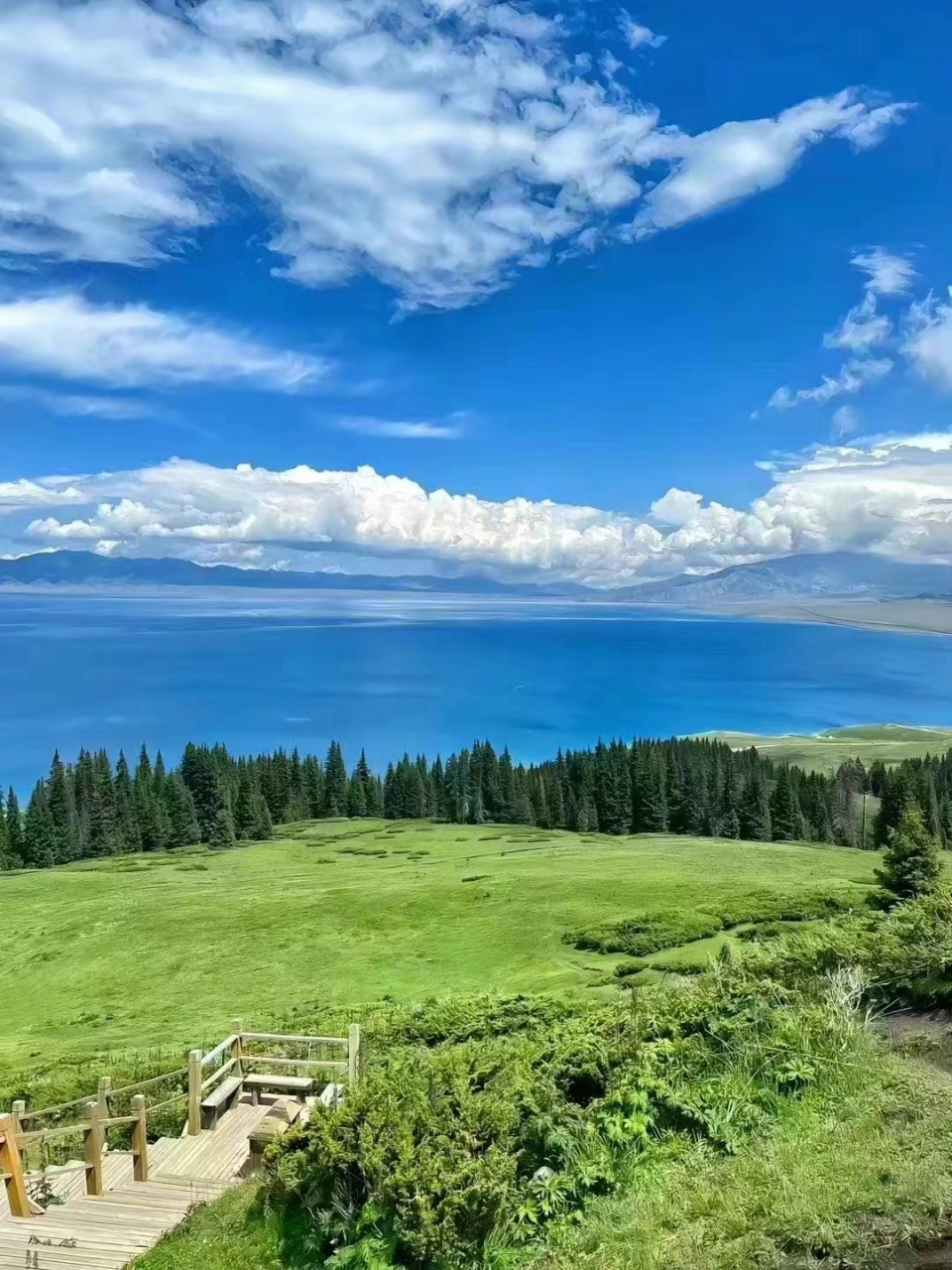 你可以永远相信新疆的夏天,这里有山清水秀的风景,有鸟语花香的的温柔