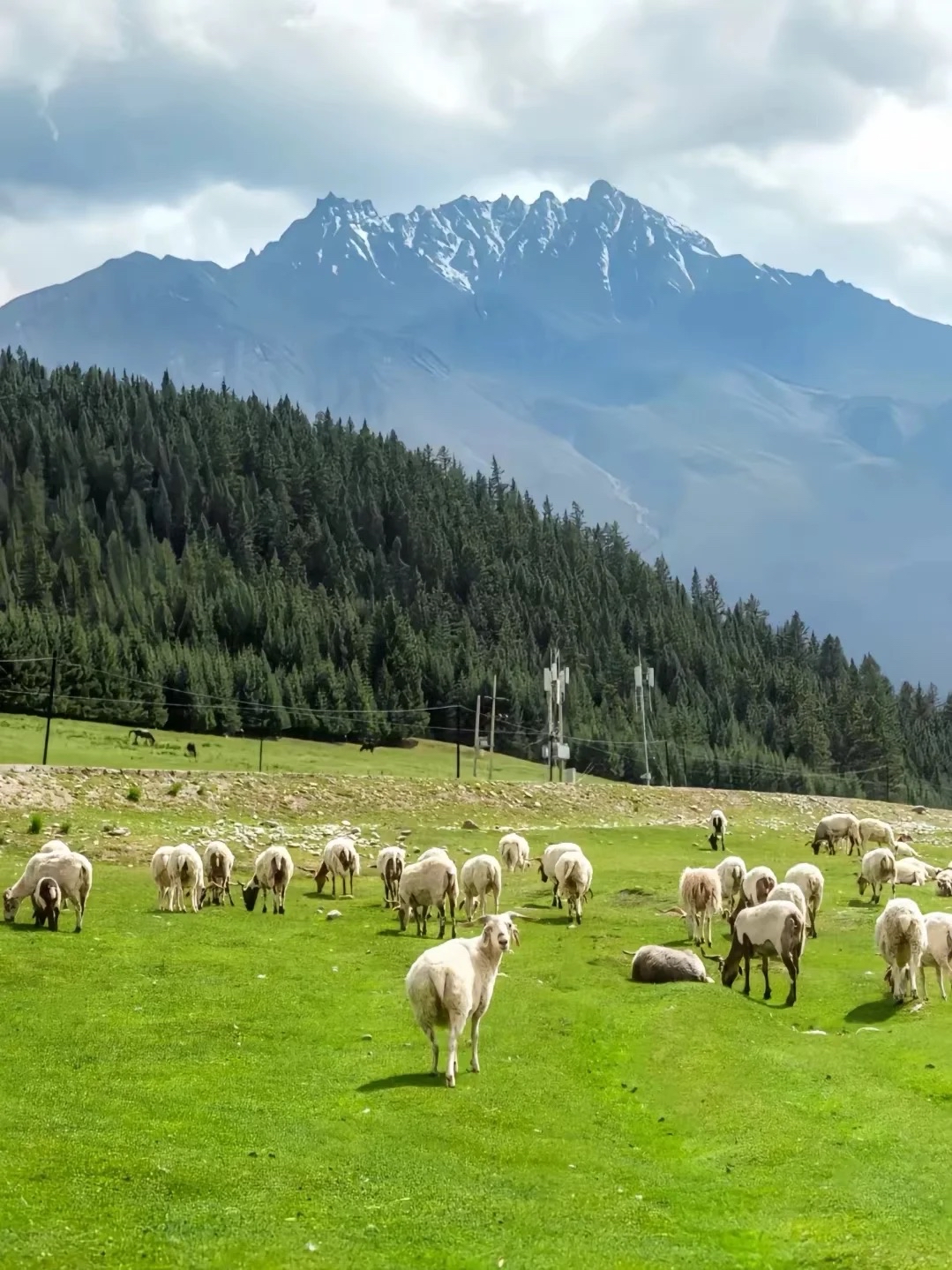 一座见证了历史的巍峨山脉,不仅是古代兵家必争之地,更是青藏高原北端