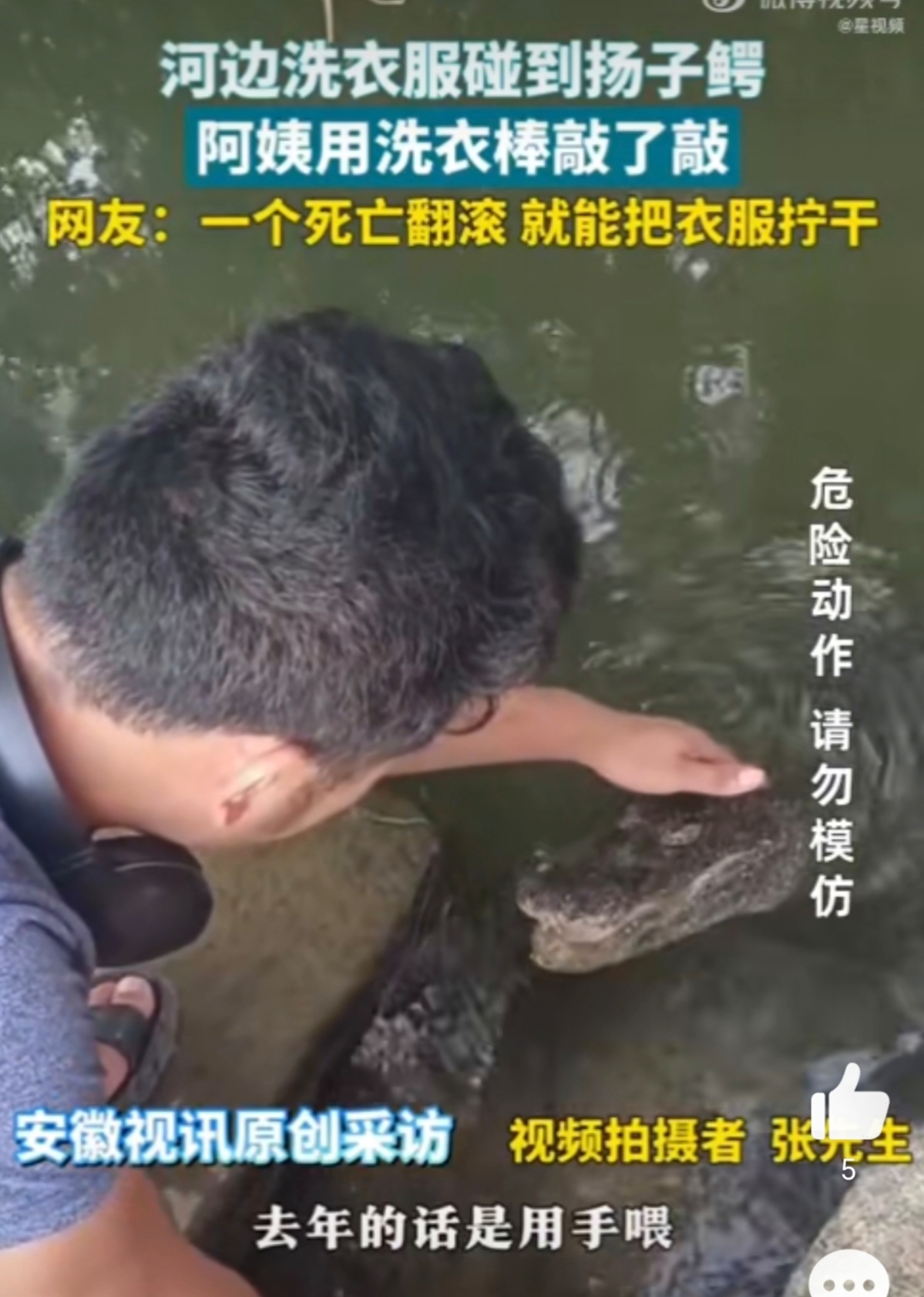 安徽宣城一名女子在河边洗衣服时突然从水里窜出一只鳄鱼女子吓得
