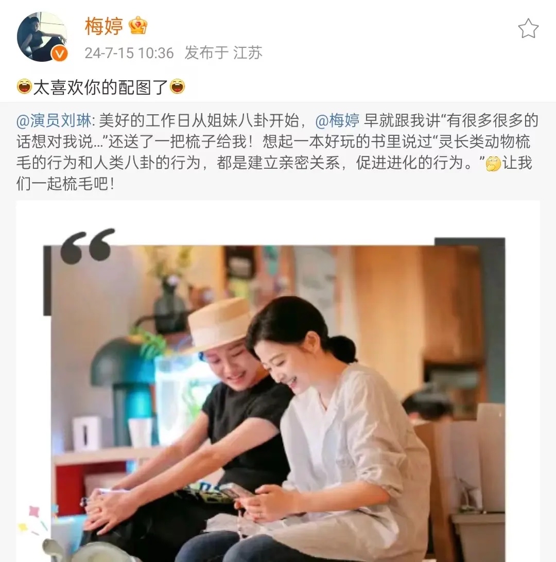 梅婷突然在社交平台连发两文起因是她与好久不见的闺蜜刘琳碰面了