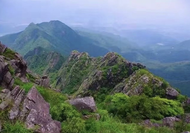 连平九连山风景区图片