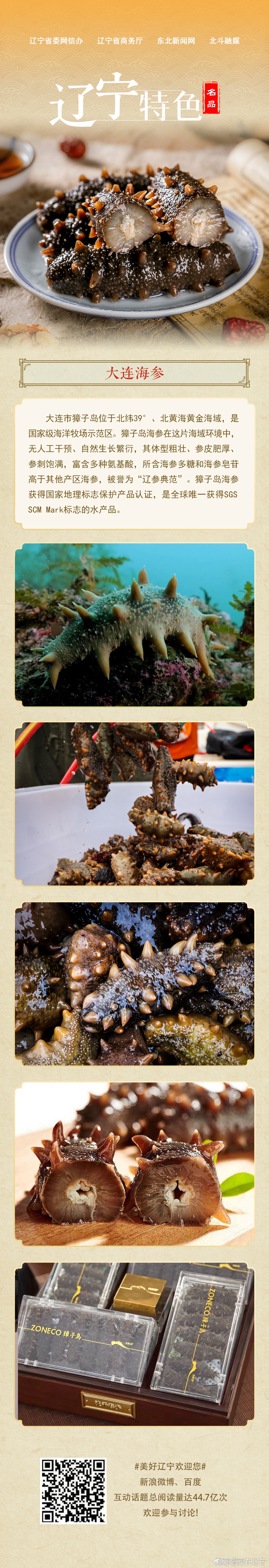 振兴新突破辽宁杠杠滴# 【辽宁特色 | 大连海参】大连市獐子岛位于