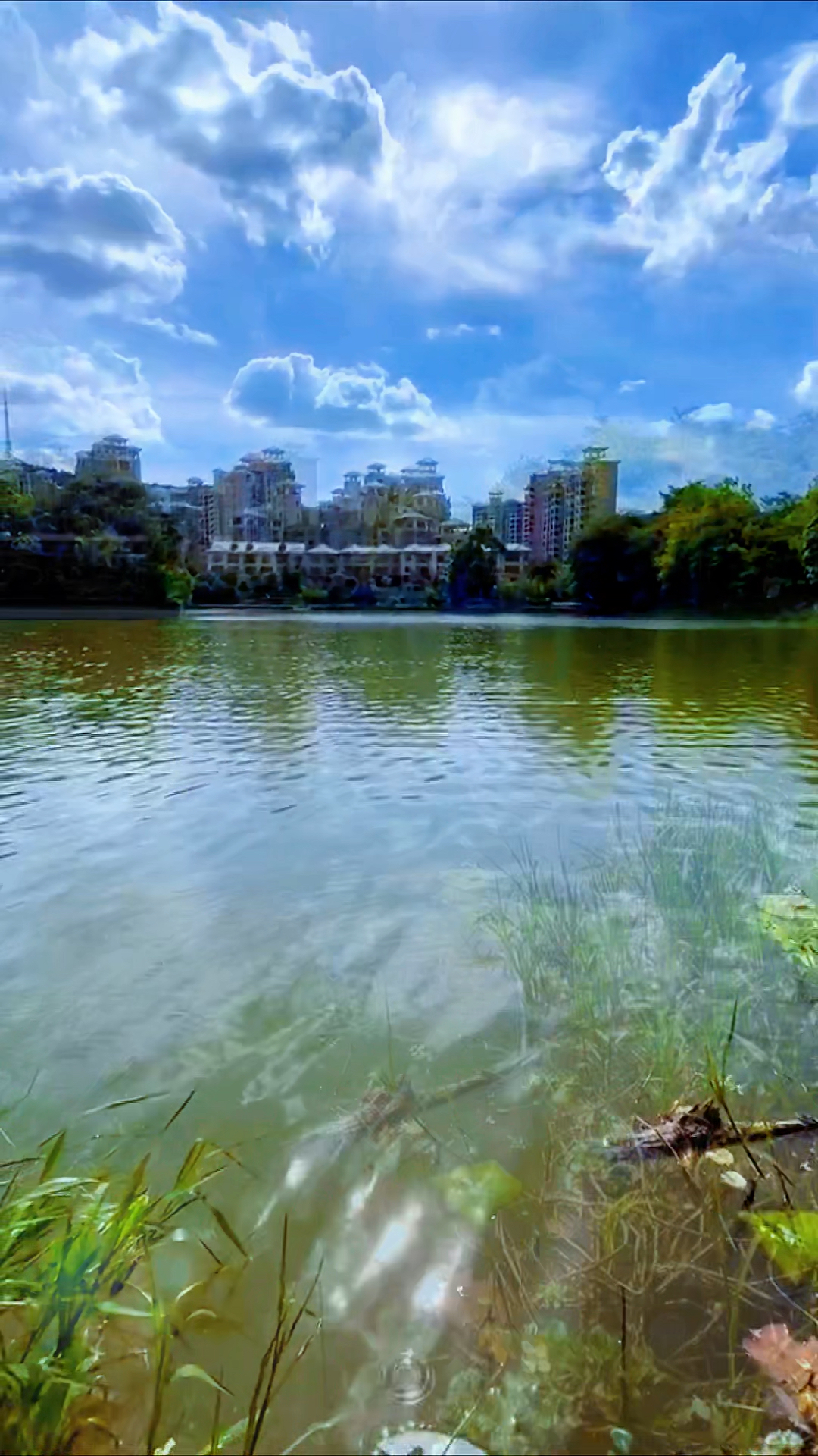 夏日天气今日情况 夏日天气今日情况