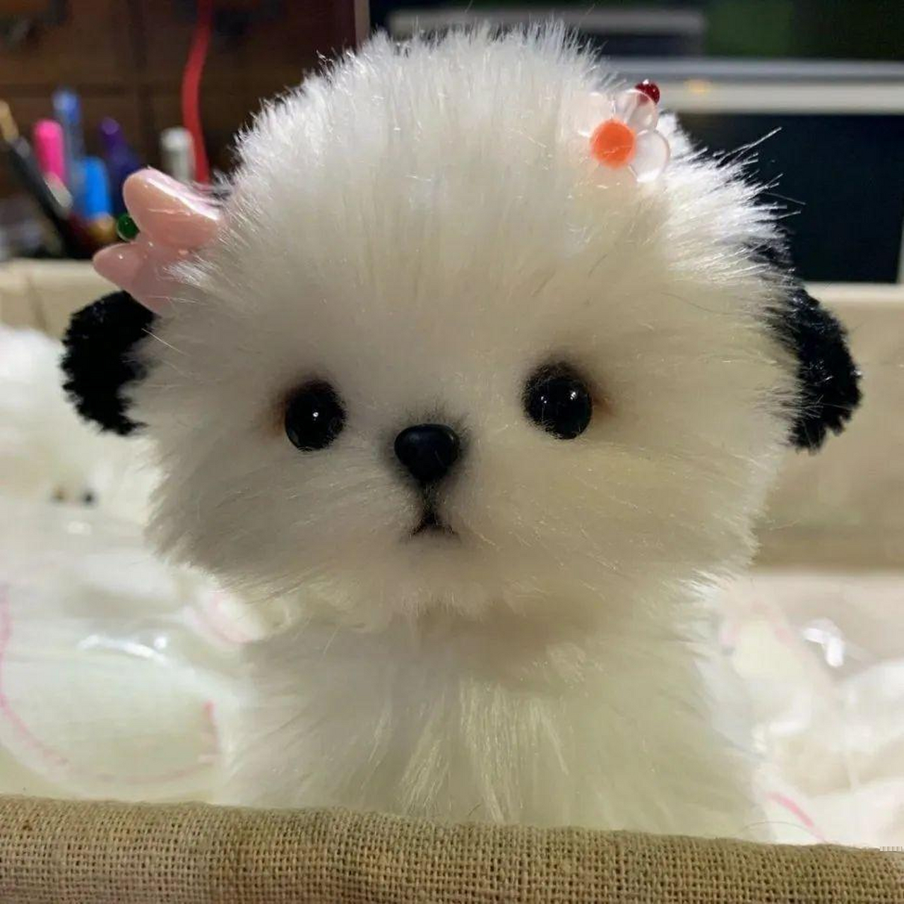 谁会不喜欢狗狗头像啊