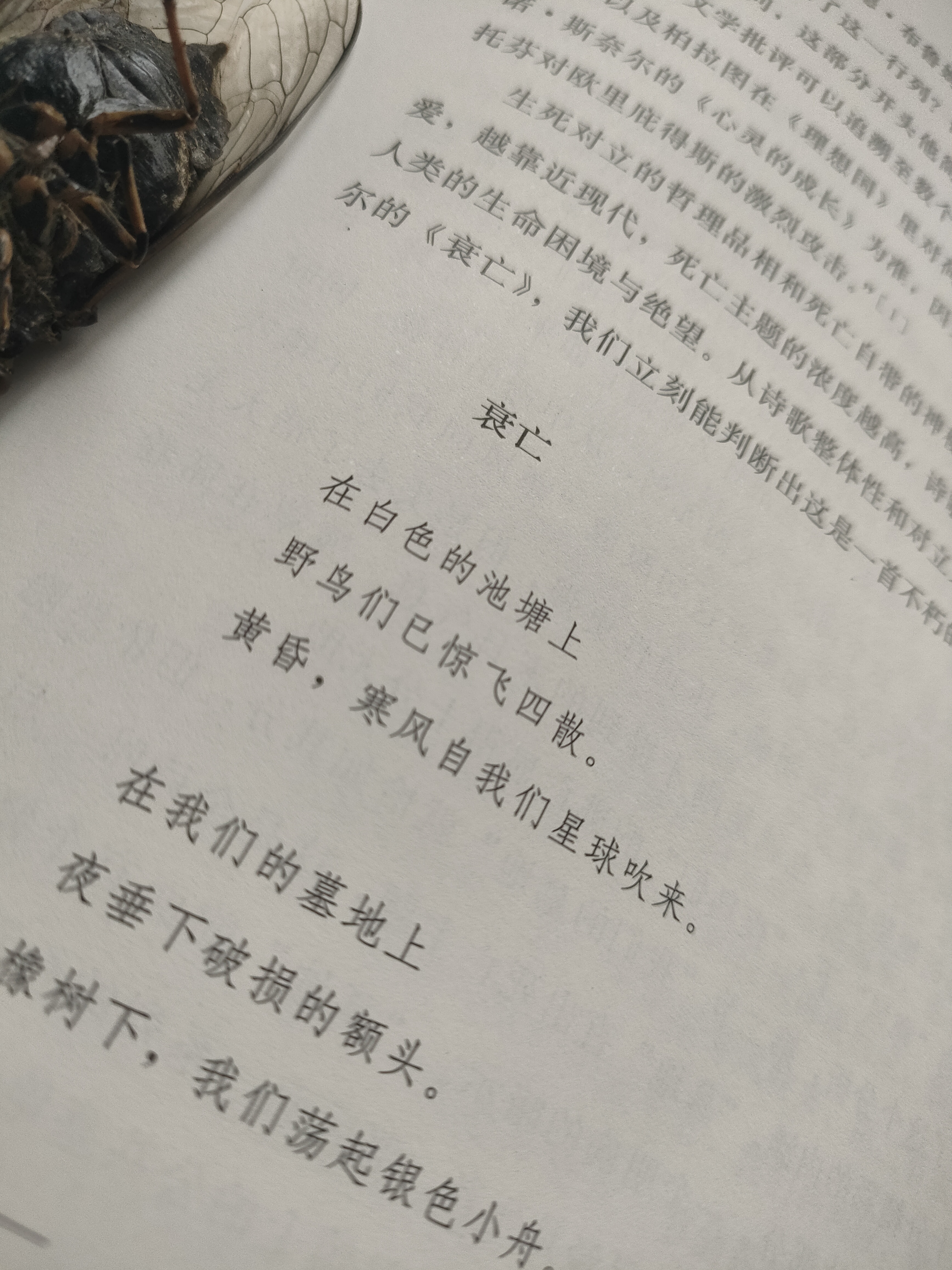 衰亡(读特拉克尔诗有感)