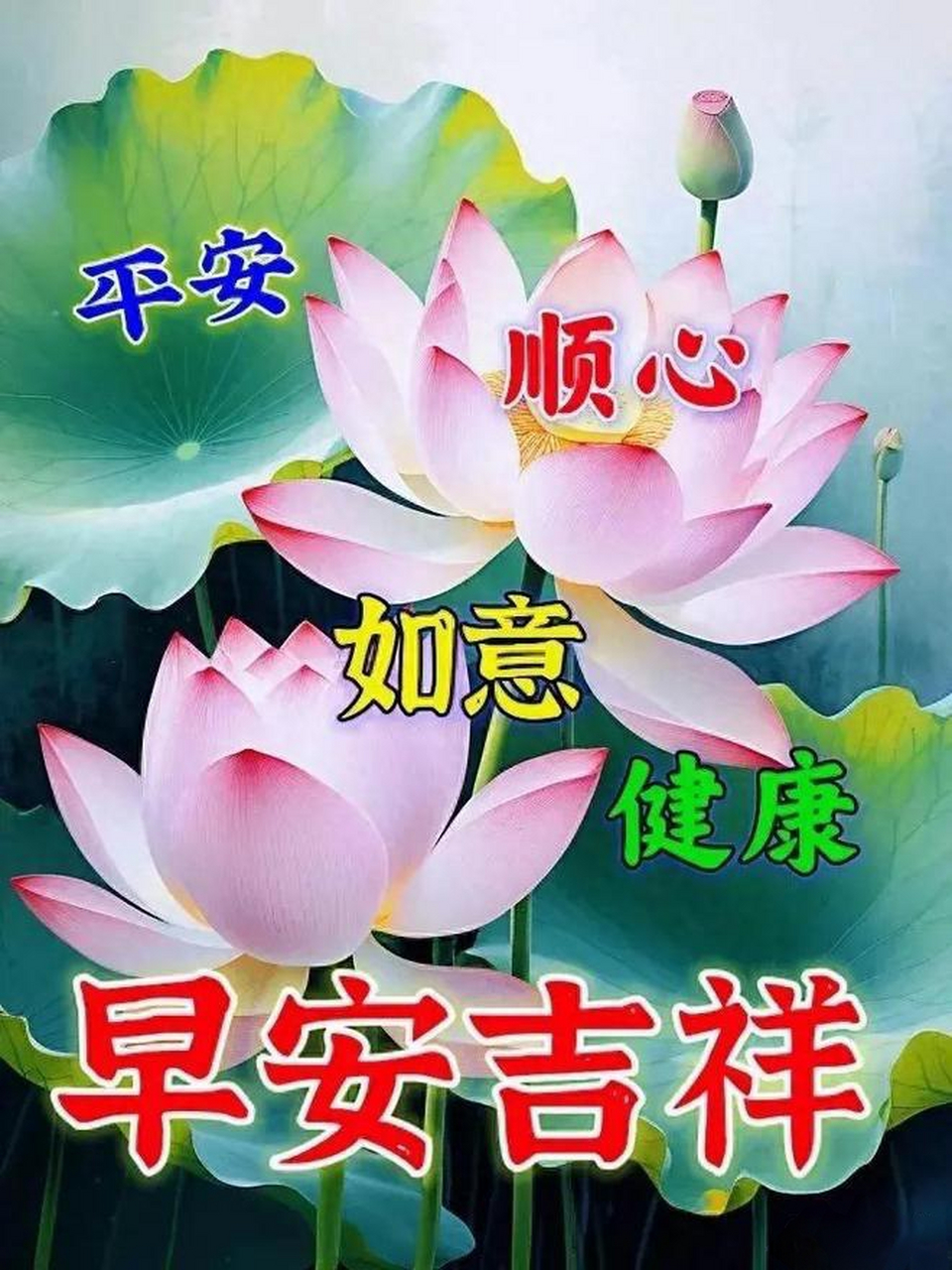 分享莲花早安图片(二) #今日早安