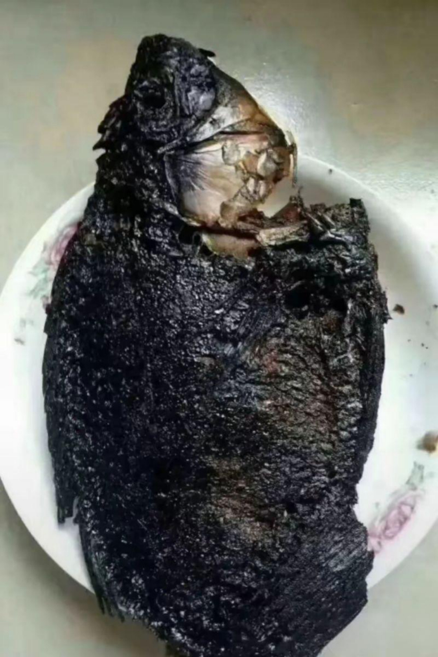 今天打算露一手烧鱼大餐,结果不小心玩手机过头了,鱼烧得比黑炭还黑.