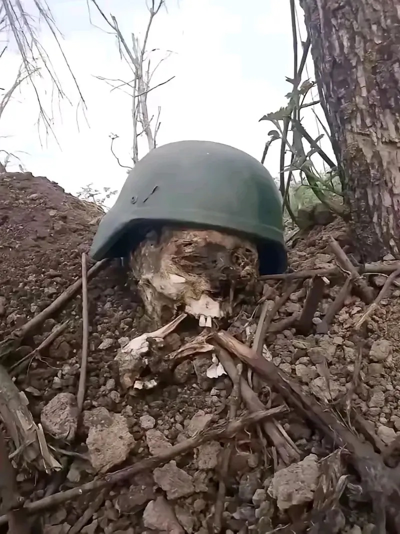 这是俄乌战场上一位牺牲士兵的残骸,令人痛心的是,他的头颅骨已成为