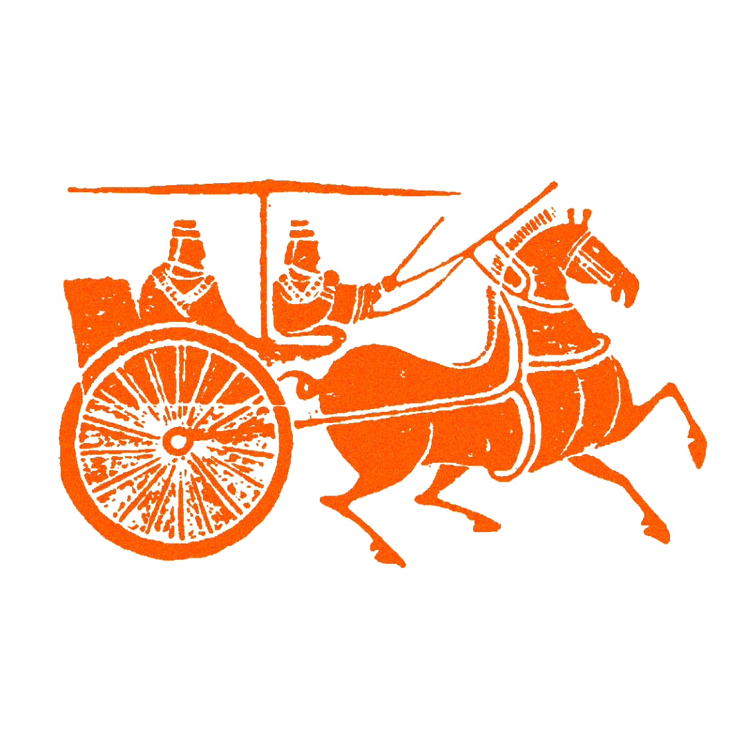 动态夏日征集令# #插画# #历史