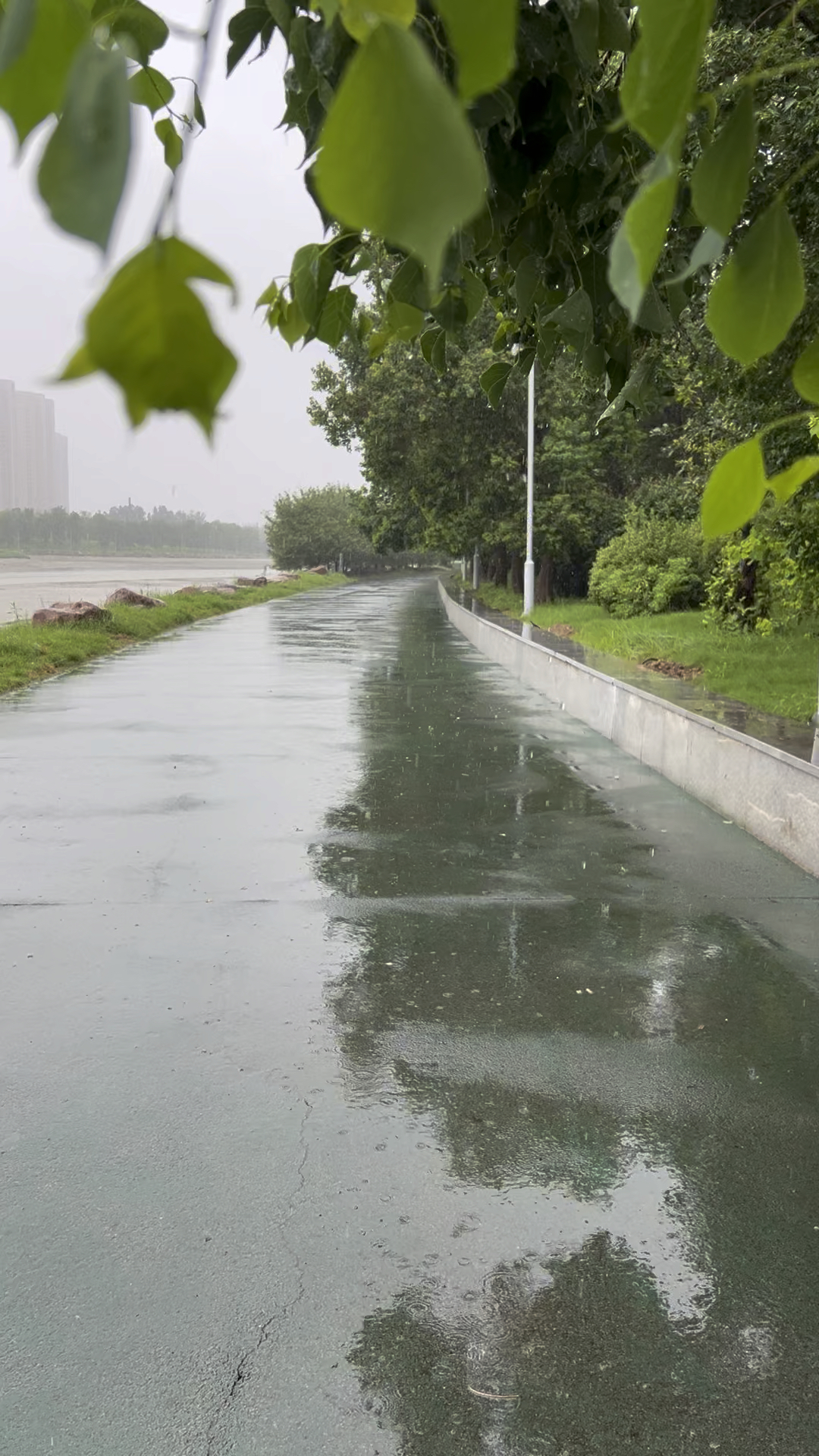 郑州下雨图片图片