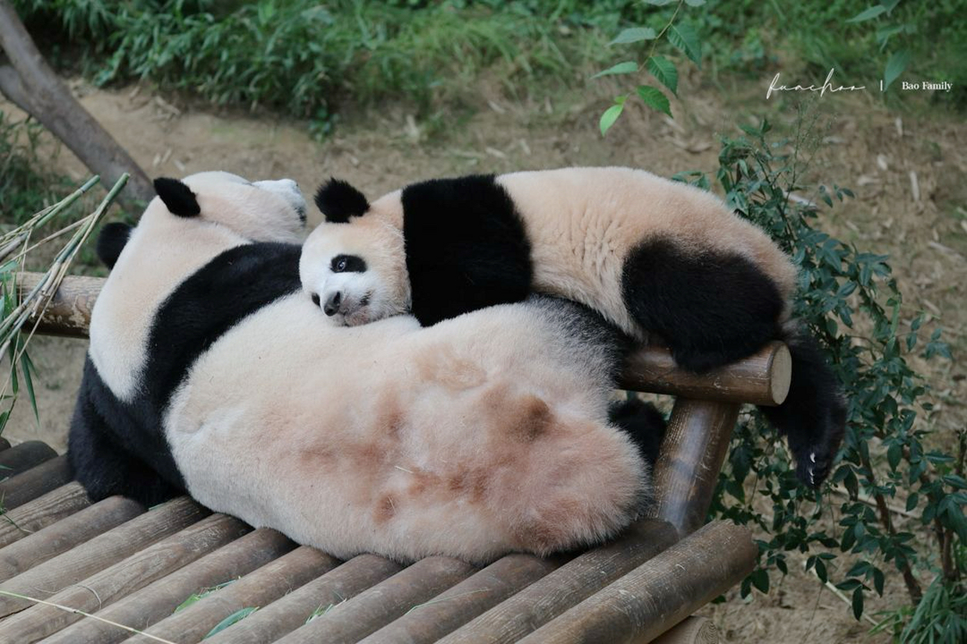 跑过去抱住的图片图片