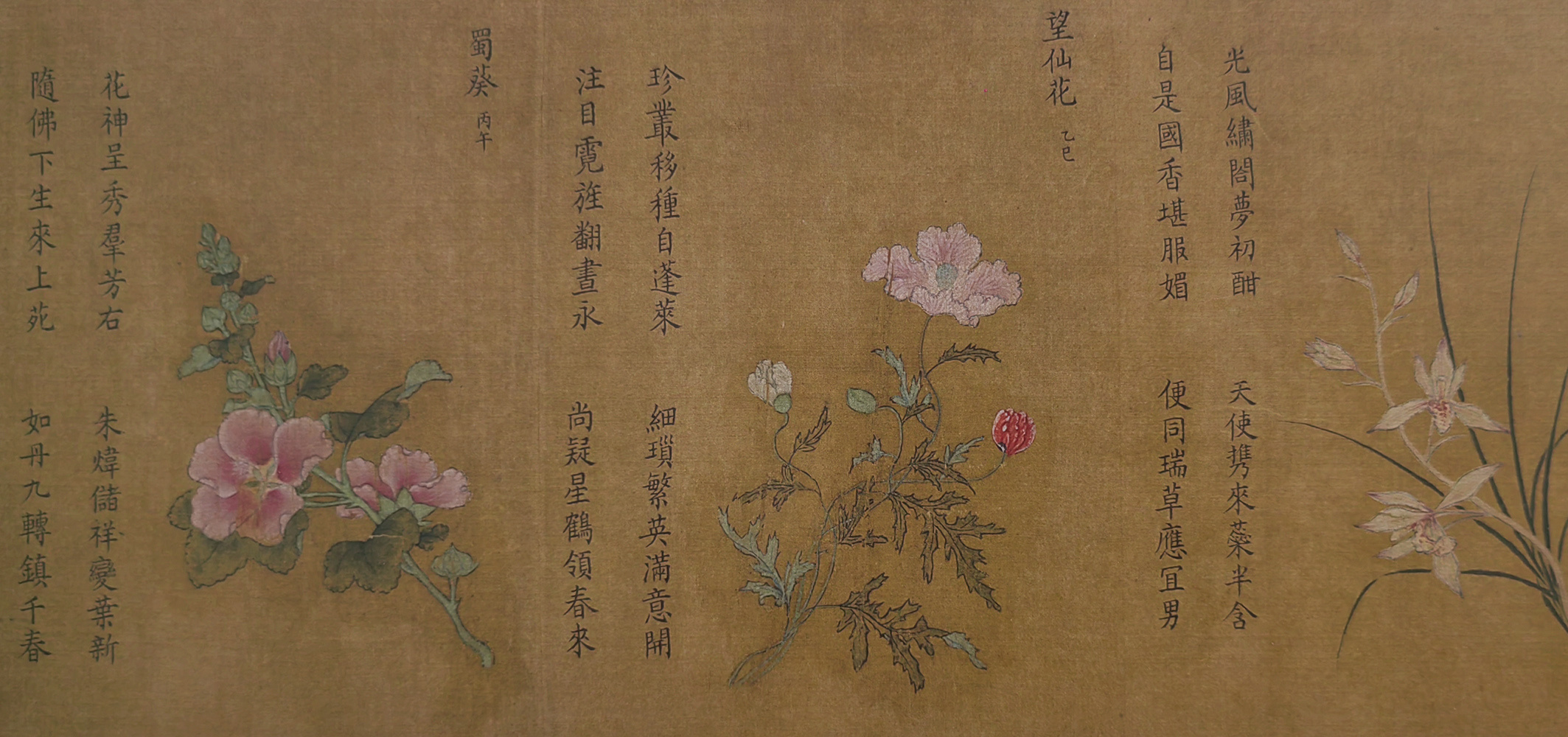 2厘米 吉林省博物院藏 传世宋代女画家杨婕妤名下的《百花图》,共分为