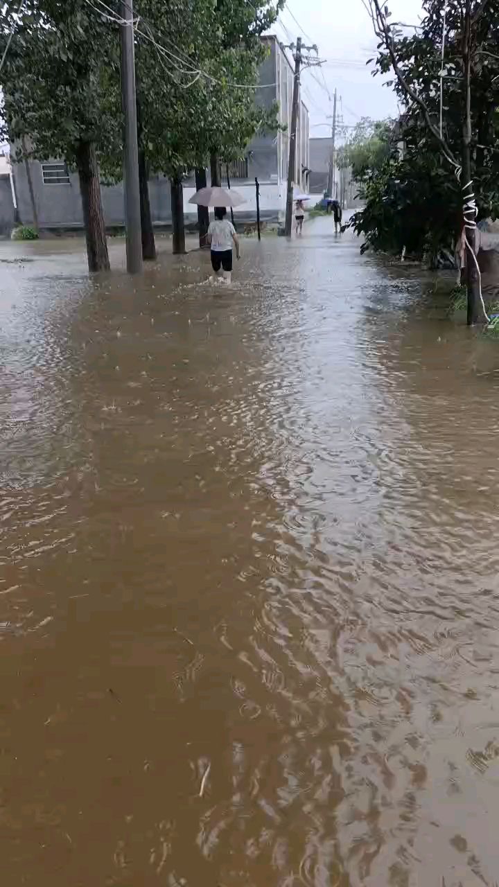 暴雨!周口商水一村长泡在水里