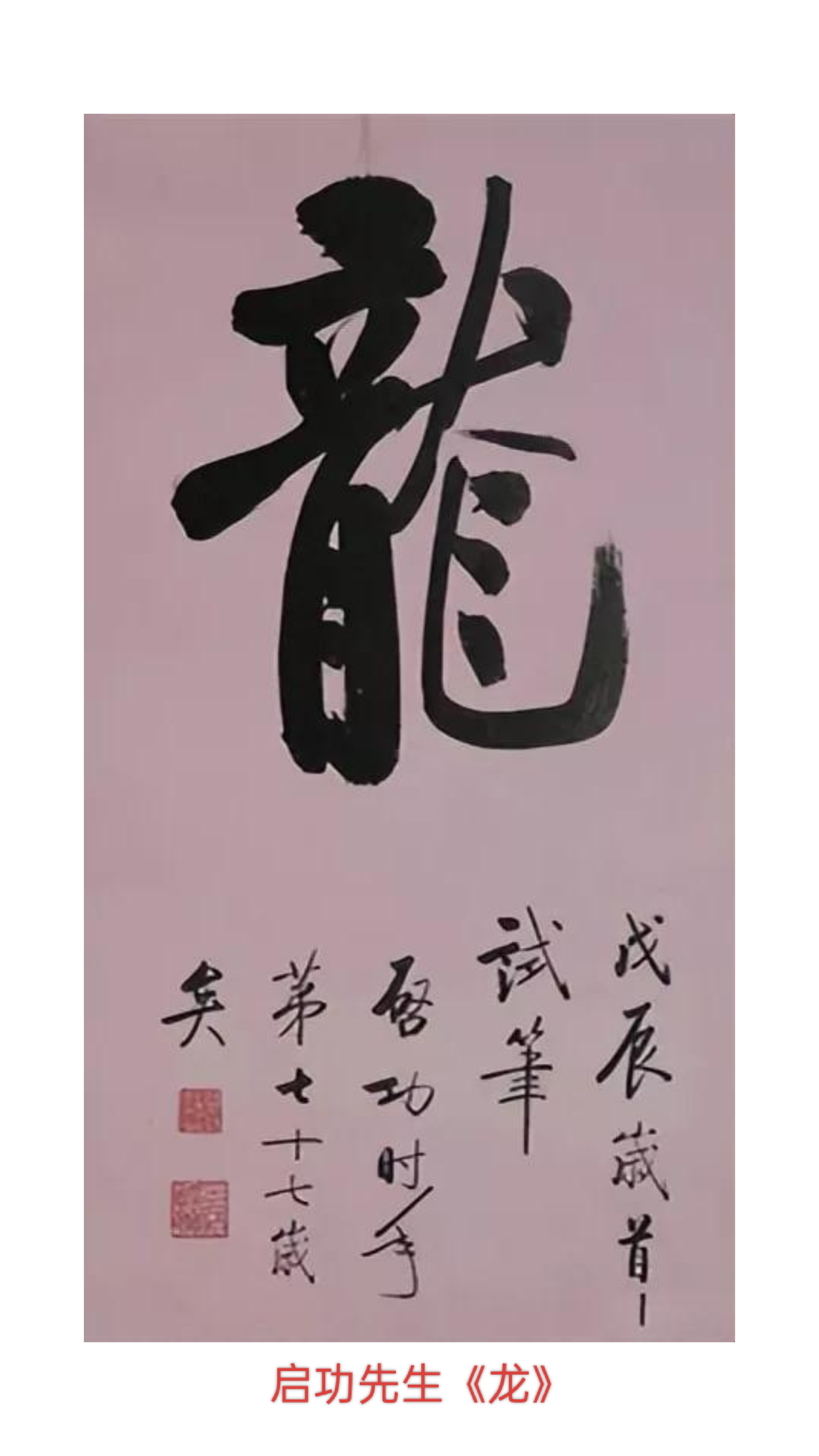 名家龙字书法欣赏二