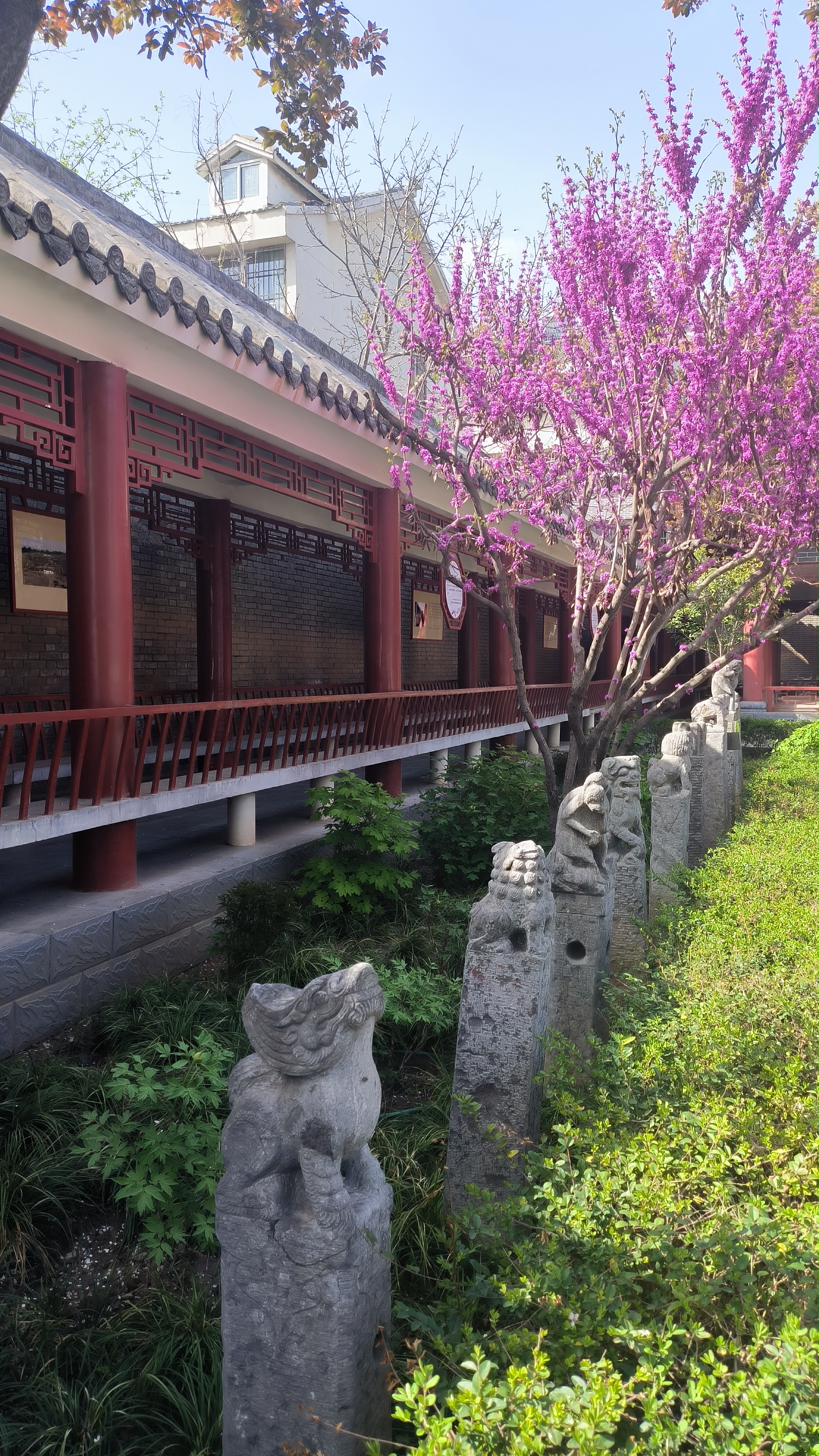 小黄的闲话: 小黄最近正在狂刷网剧, 发现了他们的