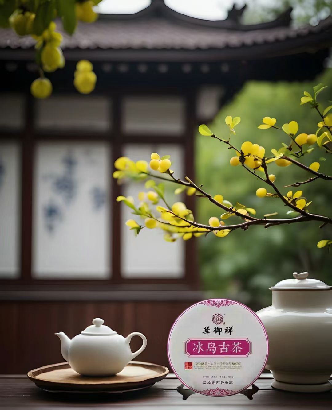 源自冰岛五寨古茶园常年山中云雾缭绕 独特的自然风貌