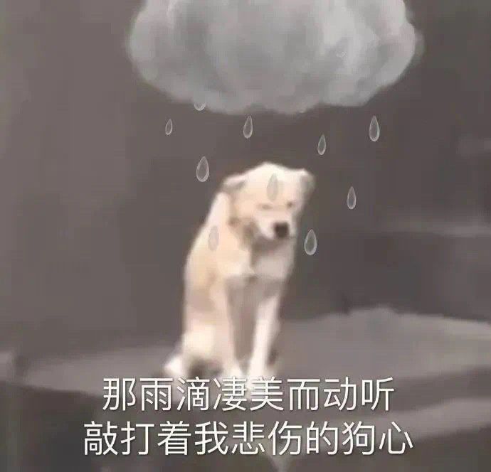 大雨的表情包图片