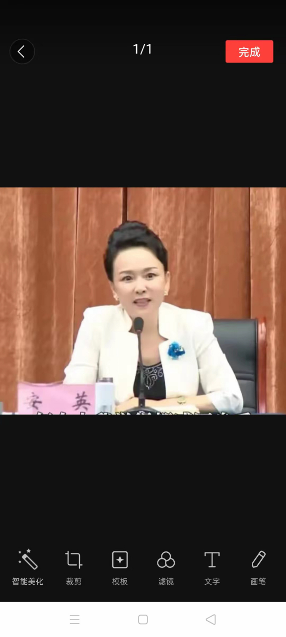 在山东,有这么一位大名鼎鼎的网络红人,她是蓝海集团的代表人物安英