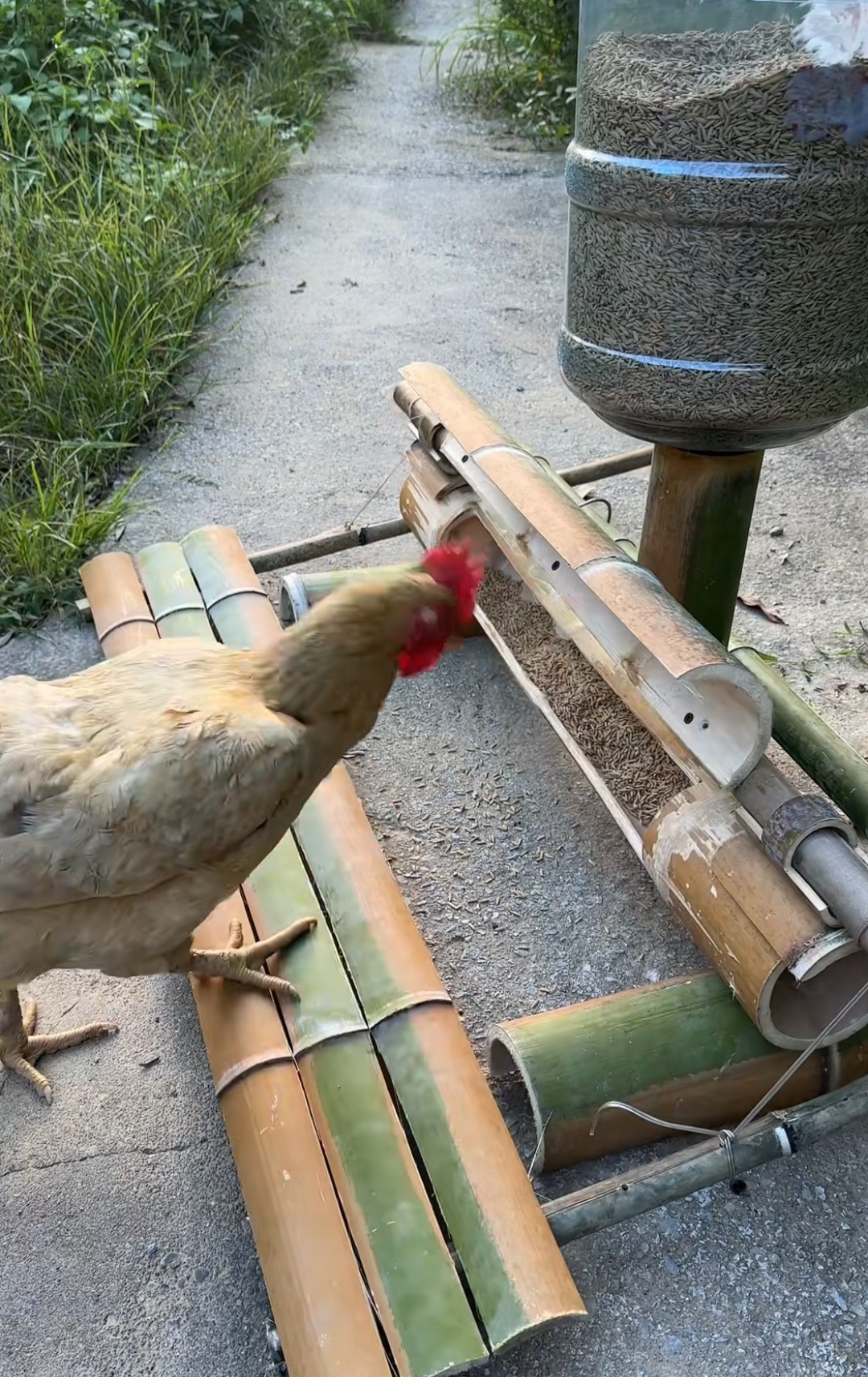 哇,这个设计真不错,只需要那么轻轻一踩上去