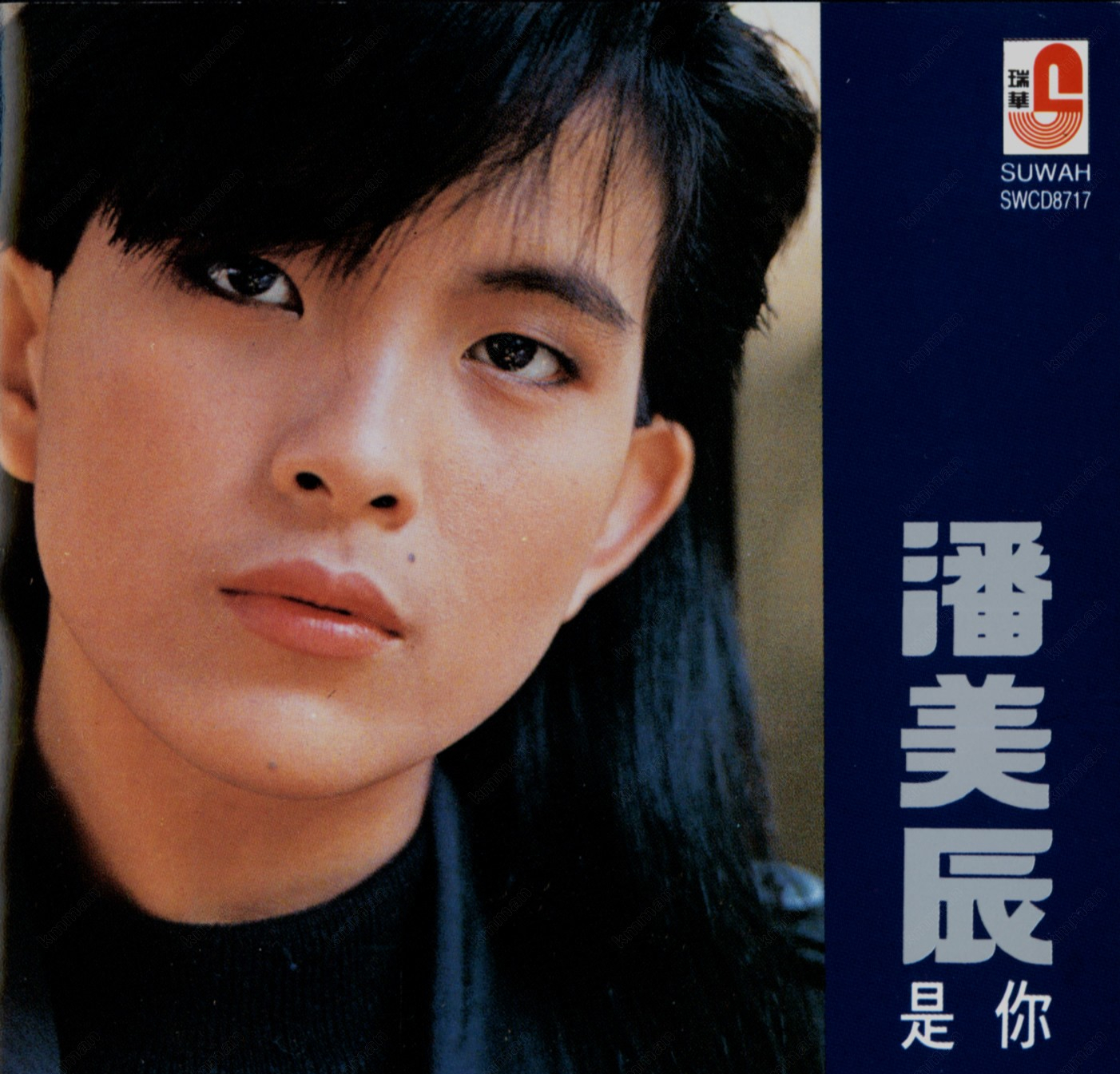 男女通吃,一张满脸胡茬的照片,彻底撕下了潘美辰的"遮羞布"