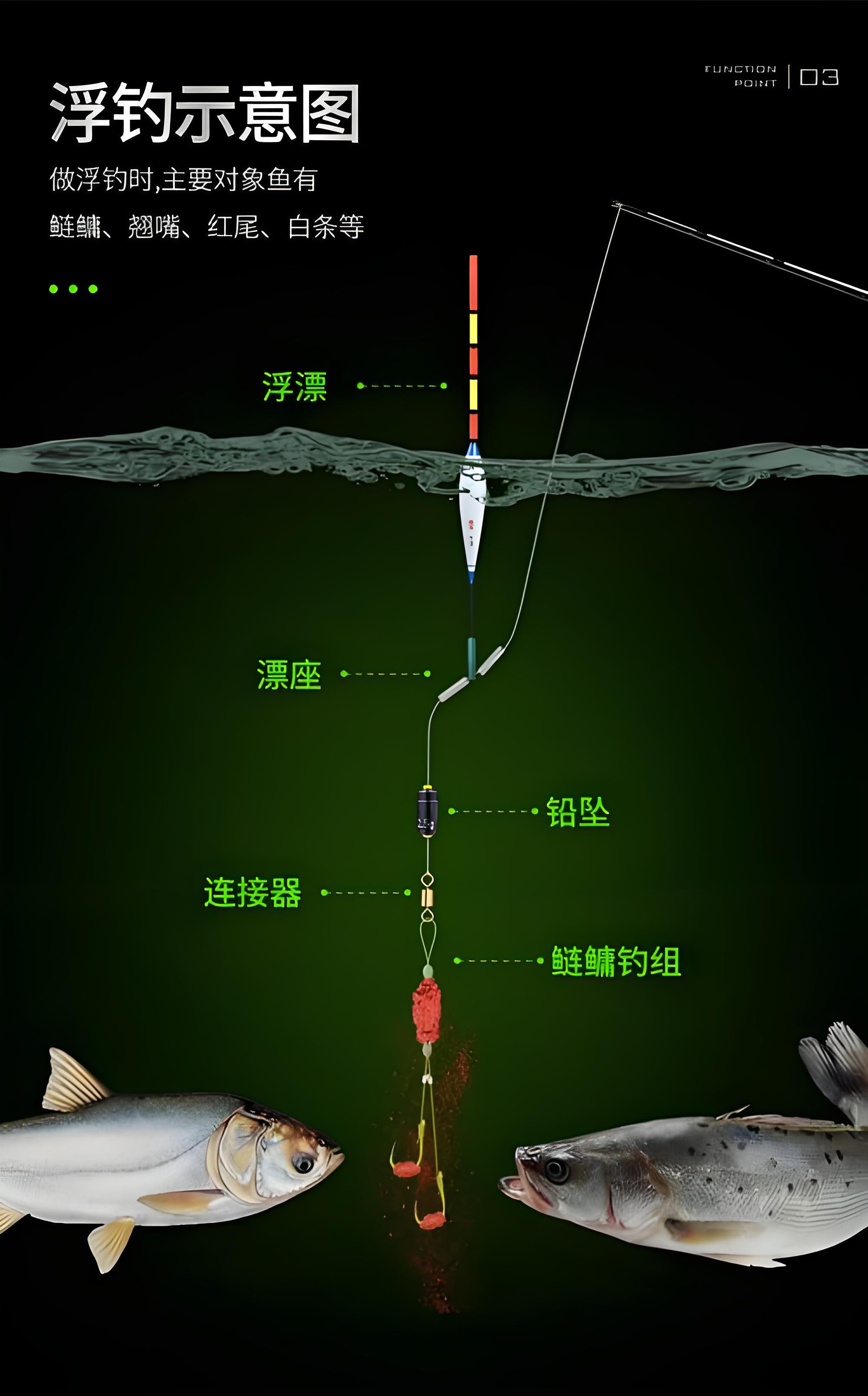 手竿钓鲢鳙技巧以及开饵方法