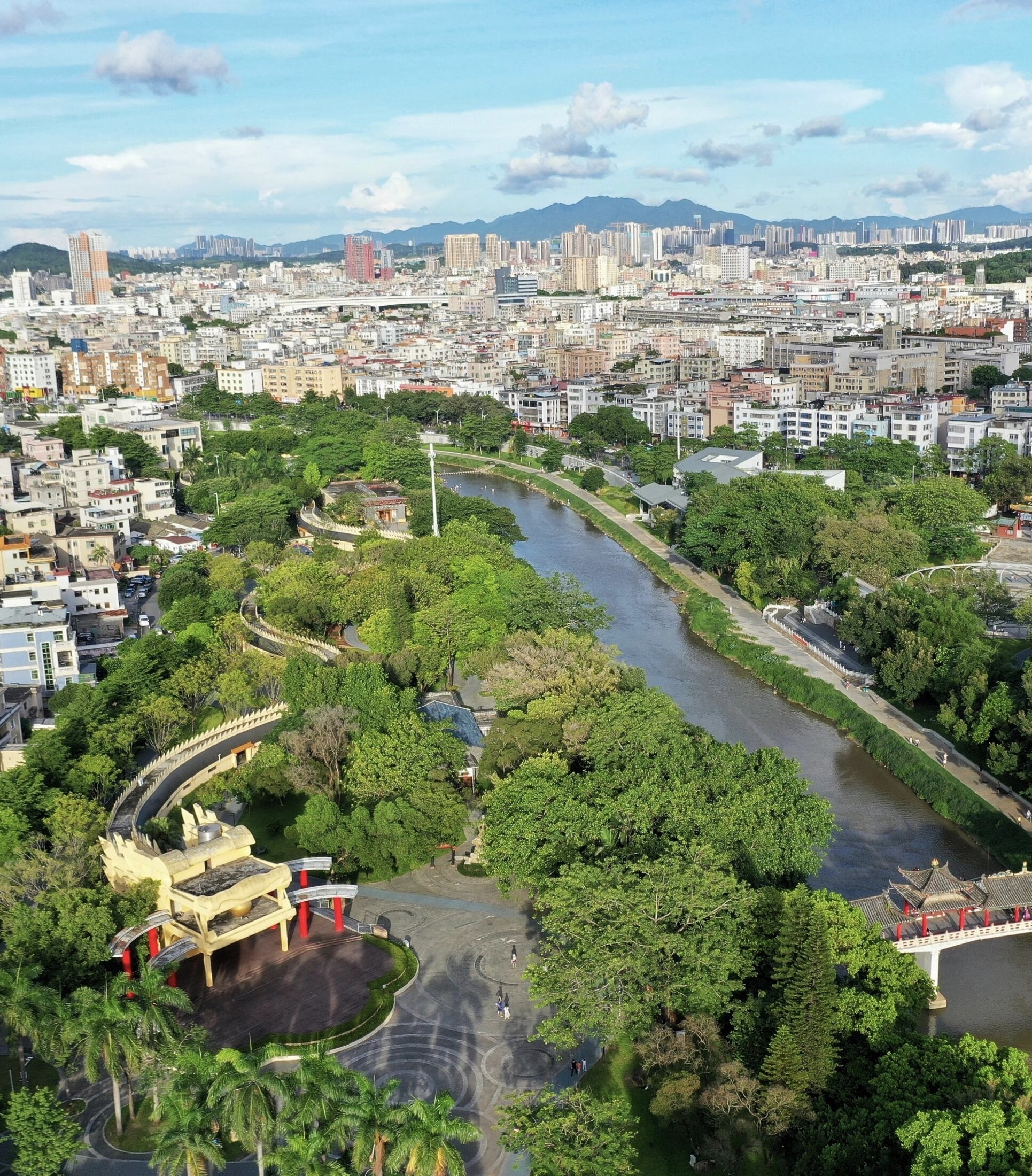 深圳龙园中学图片