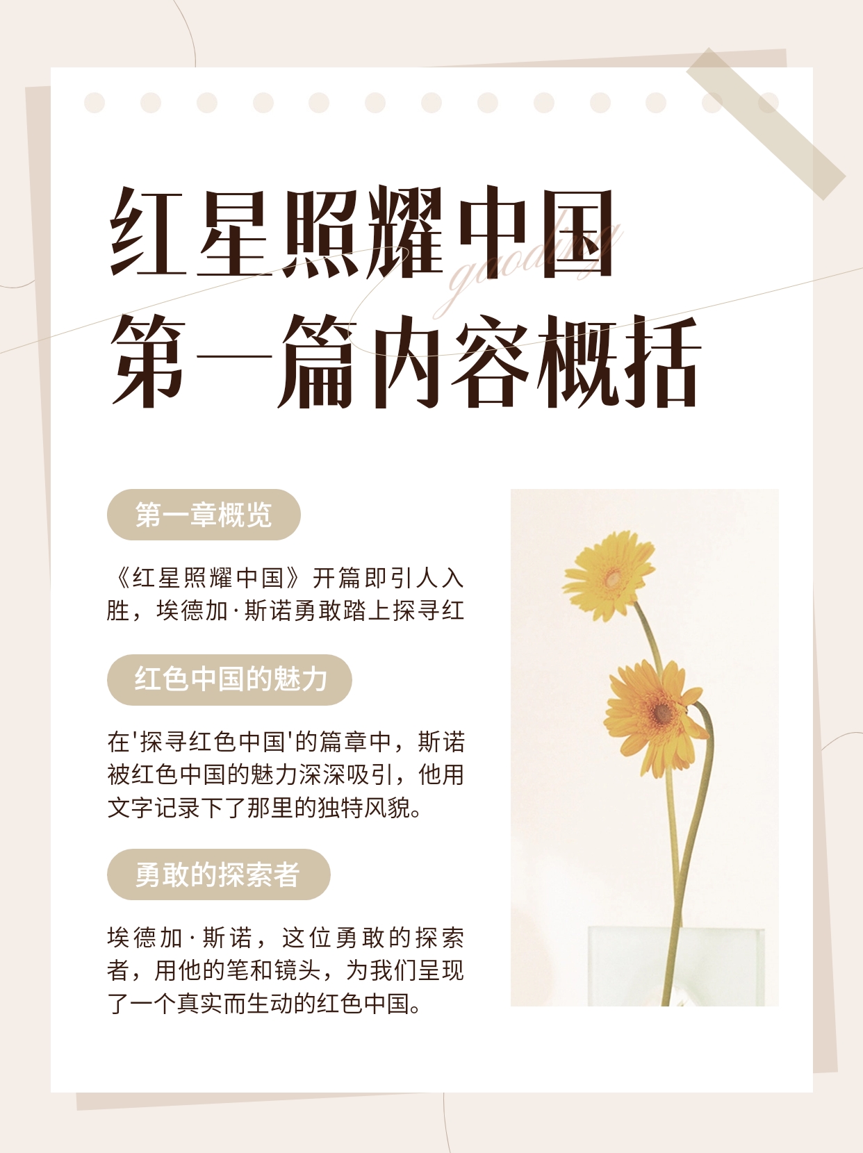 红星照耀中国第一篇内容概括