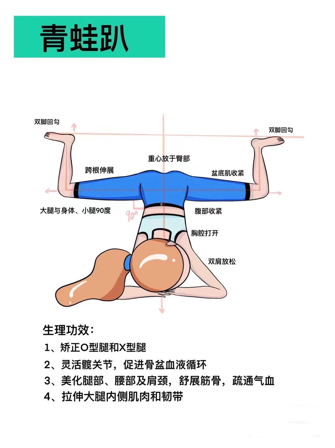 开髋体式编排图片